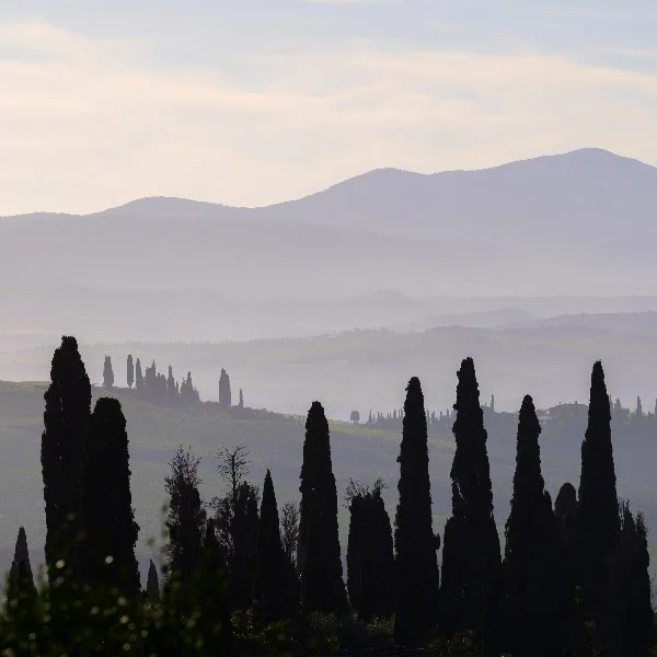 ROADTRIP- (2 van 33).jpg