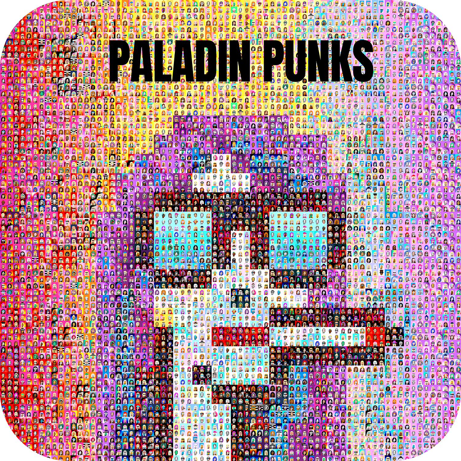 PALADIN PUNKS