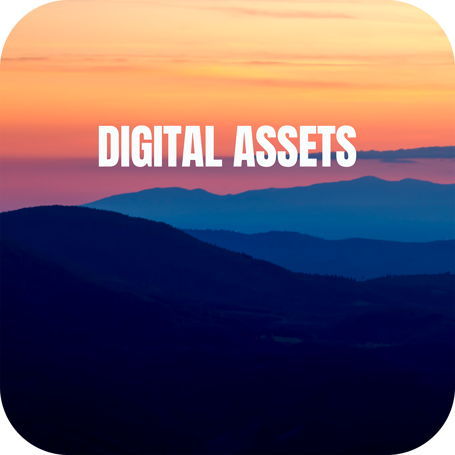 DIGITAL ASSETS
