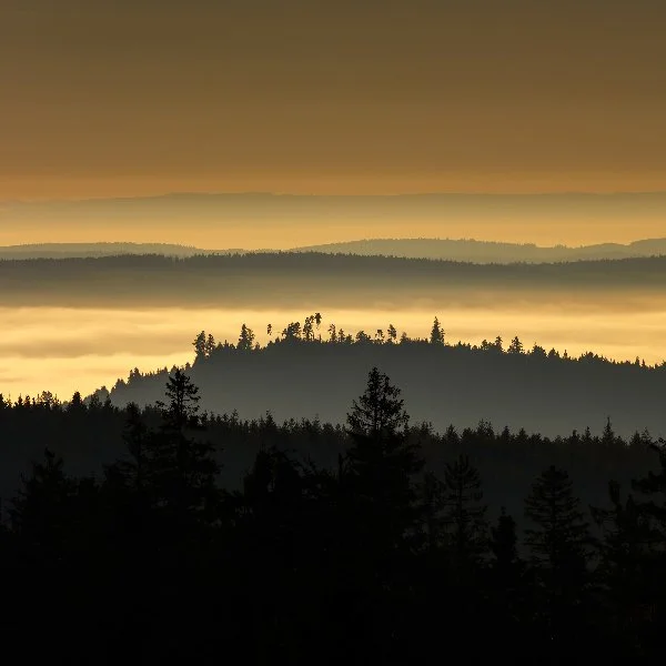 ROADTRIP- (26 van 33).jpg