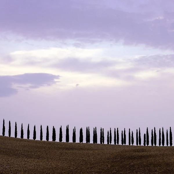 ROADTRIP- (23 van 33).jpg