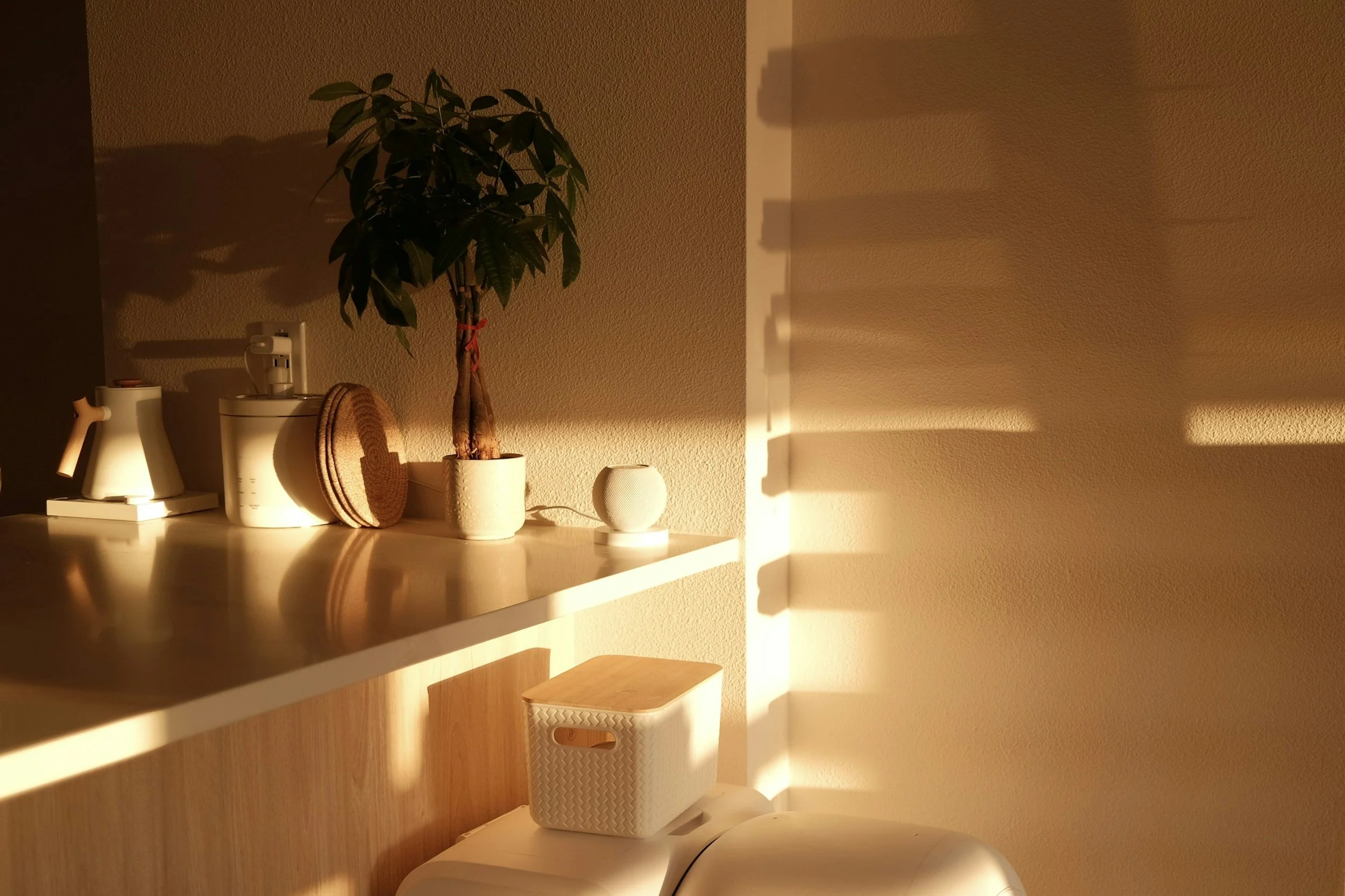 Interior with sunlight soft colors