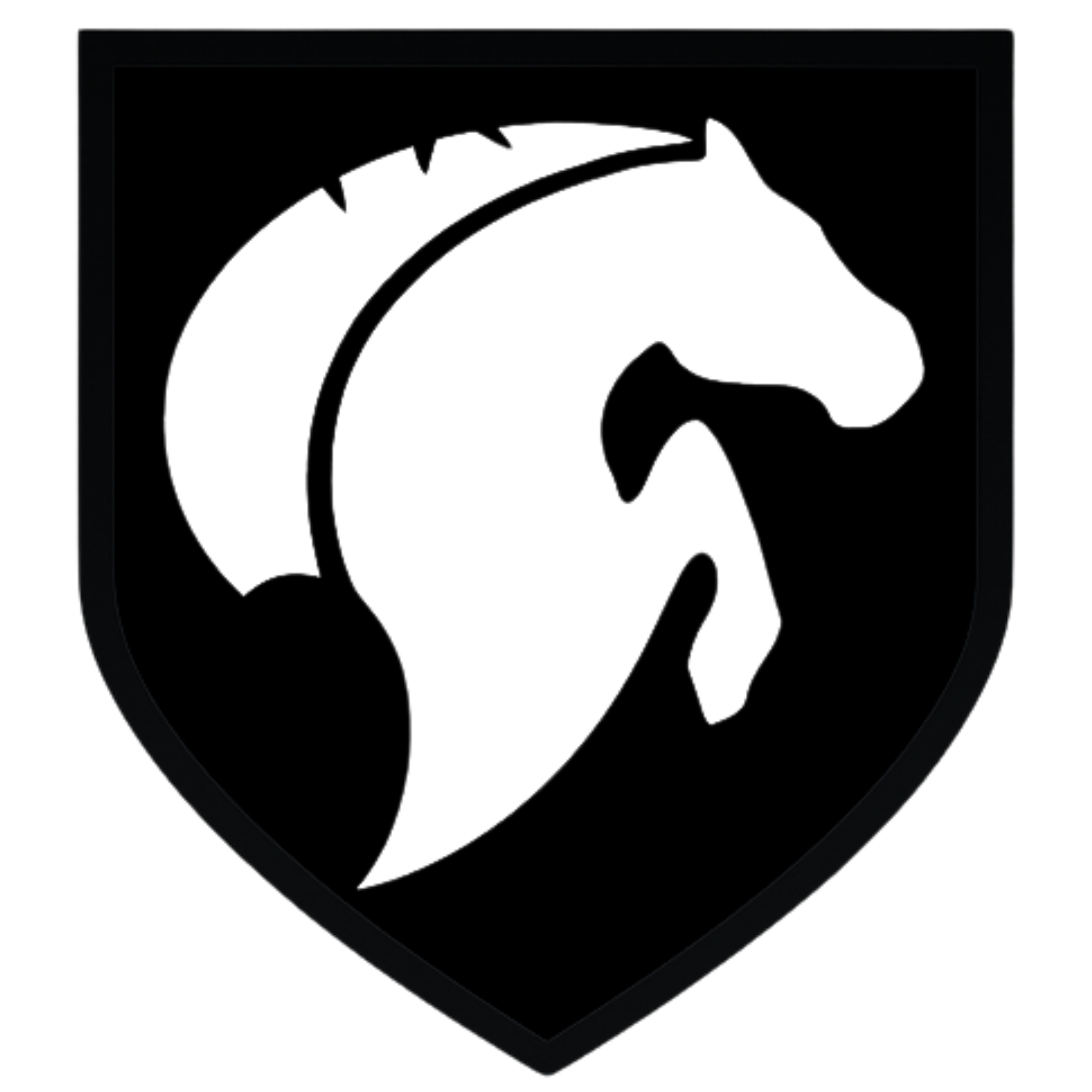 A black shield with a subtle outline, representing a badge or emblem.