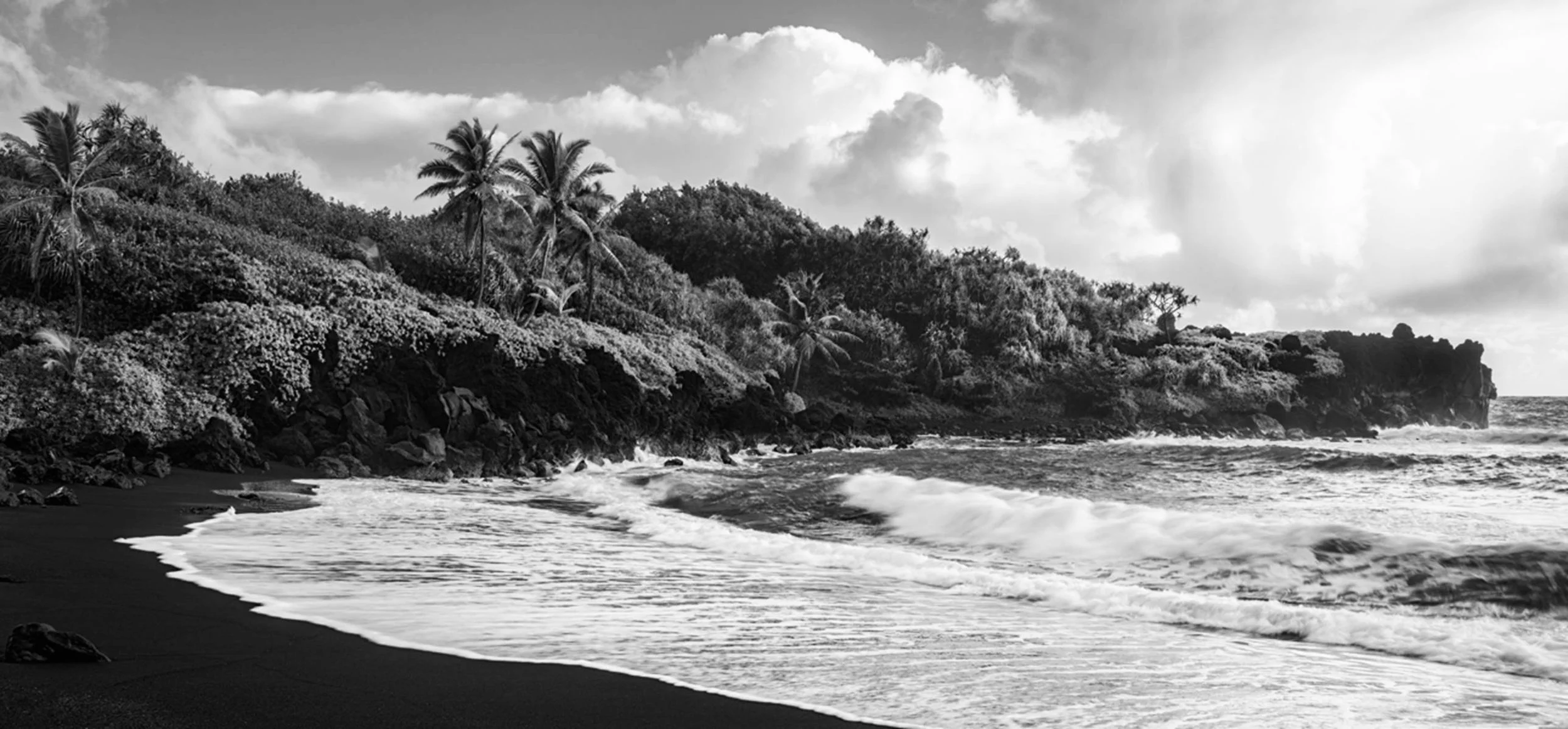 Black and white image of a beach with waves crashing onto the shore, palm trees on a rocky hillside, and cloudy sky above.