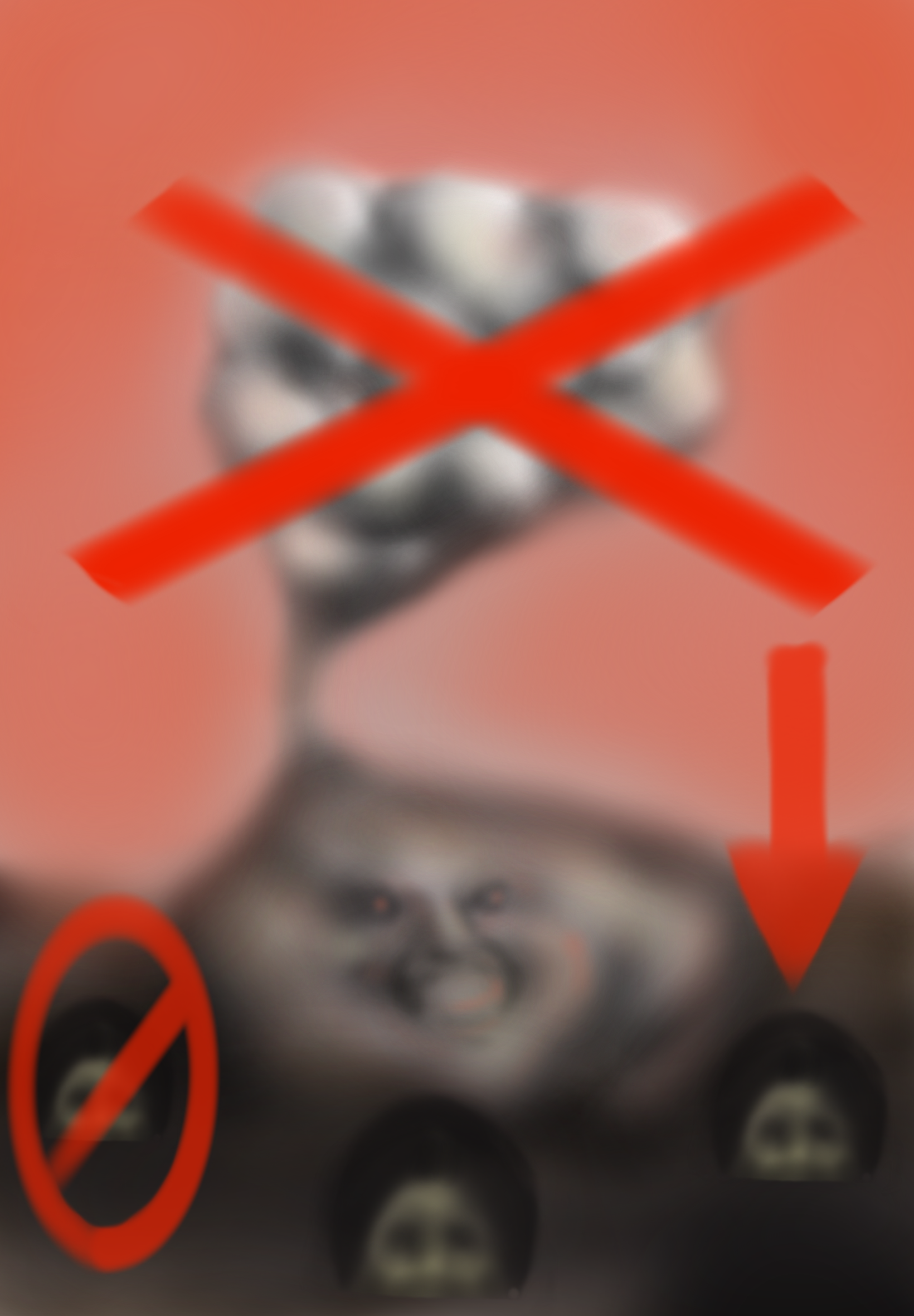 IMG_1007.PNG
