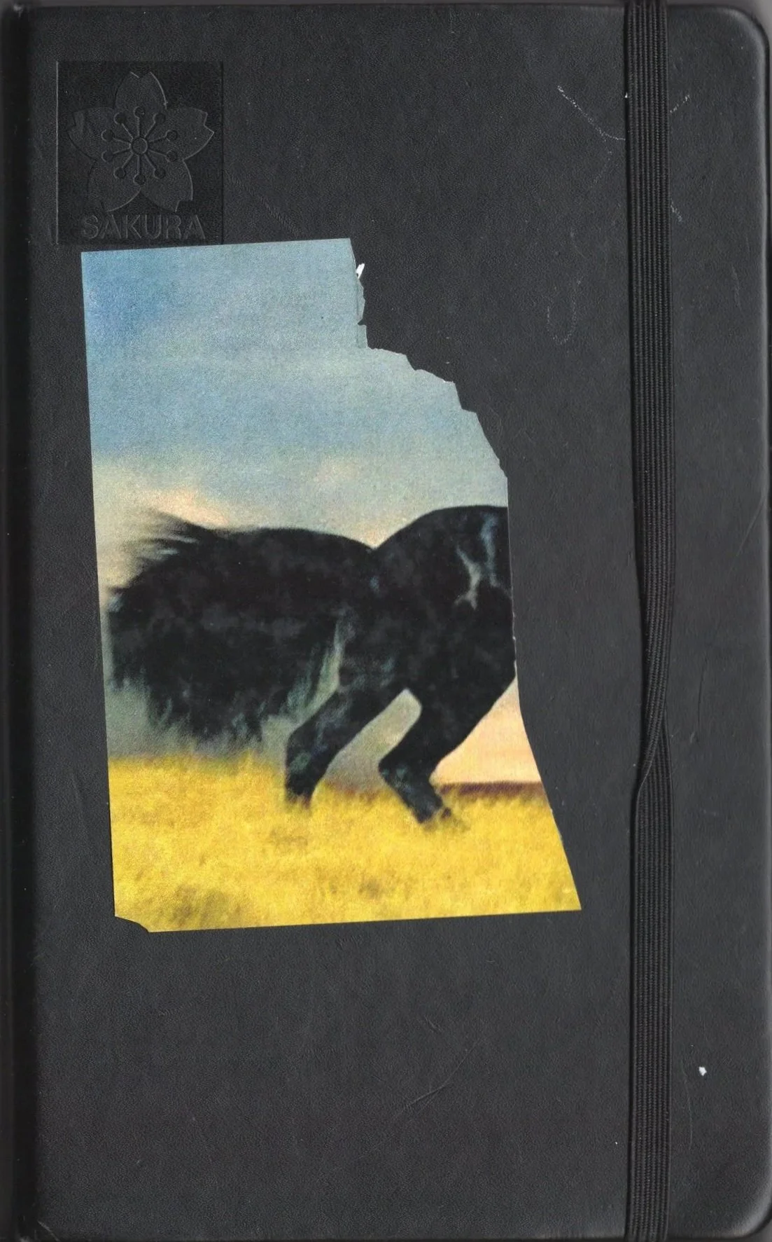 Cuaderno negro con una foto recortada de un perro en el centro, en un campo, al atardecer, y un logotipo de sakura en la esquina superior izquierda.
