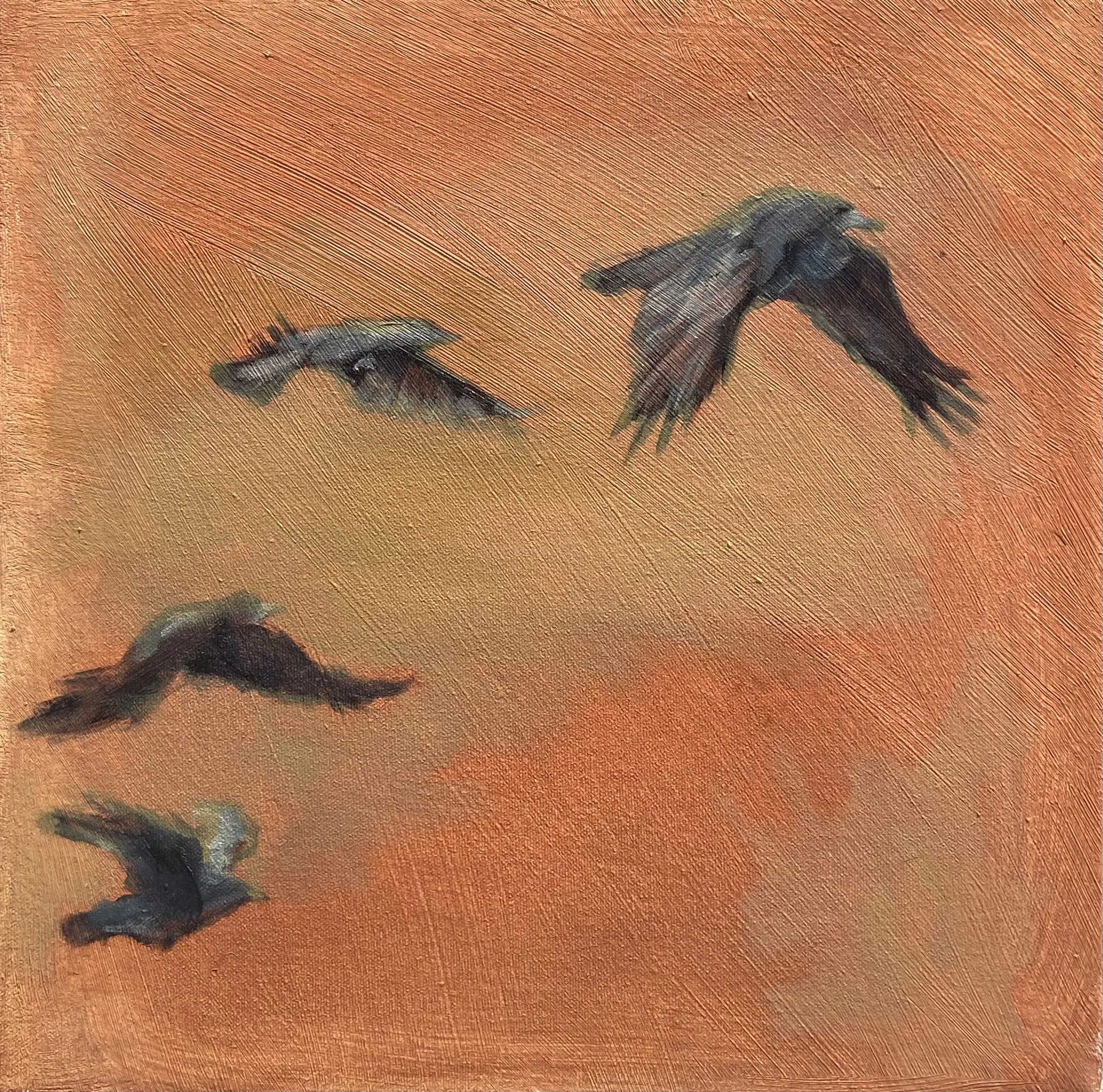 Cuatro aves volando en un cielo anaranjado con textura de pinceladas.