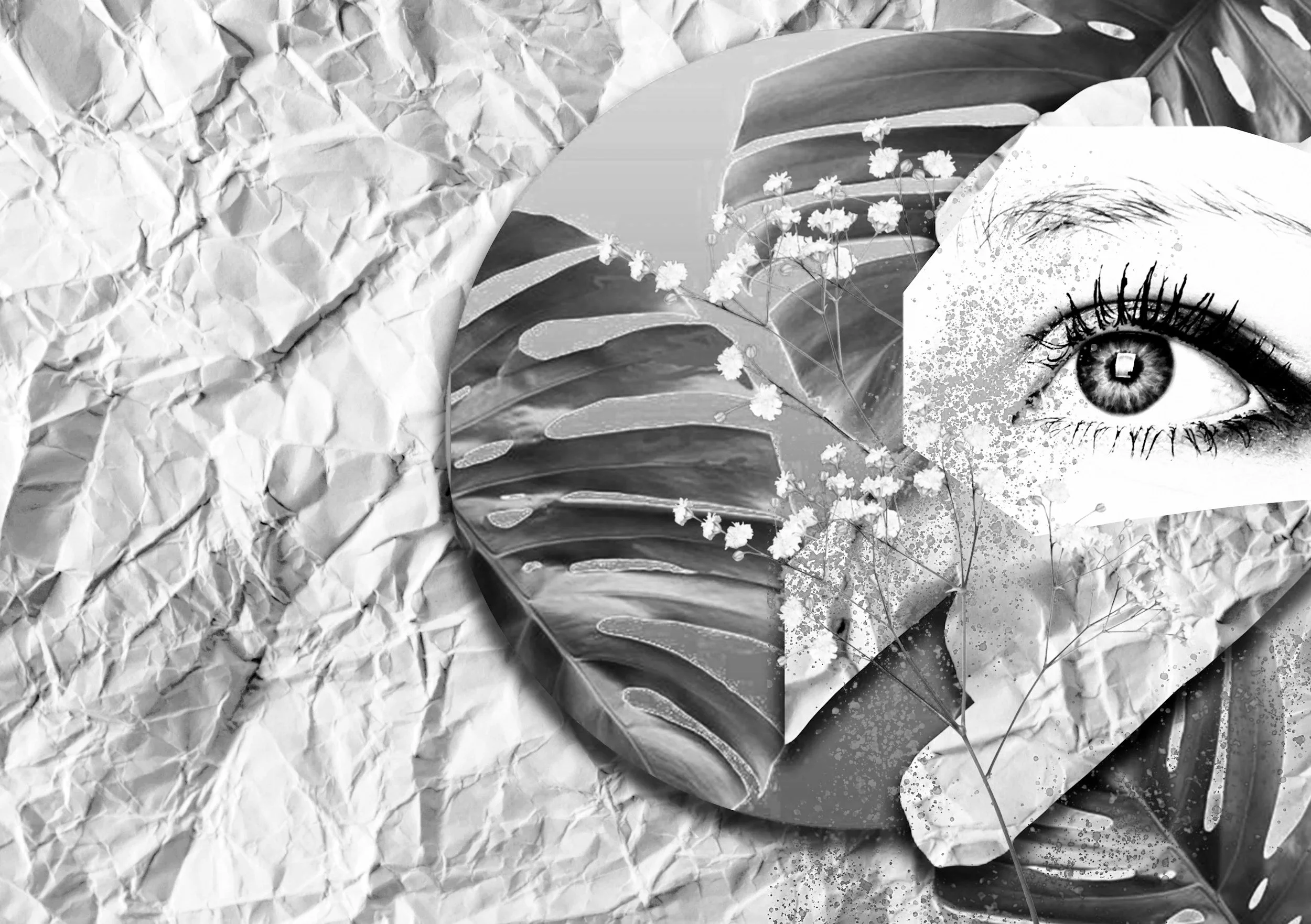 Black and white collage featuring tropical leaves, a human eye, and small flowers on textured paper background.