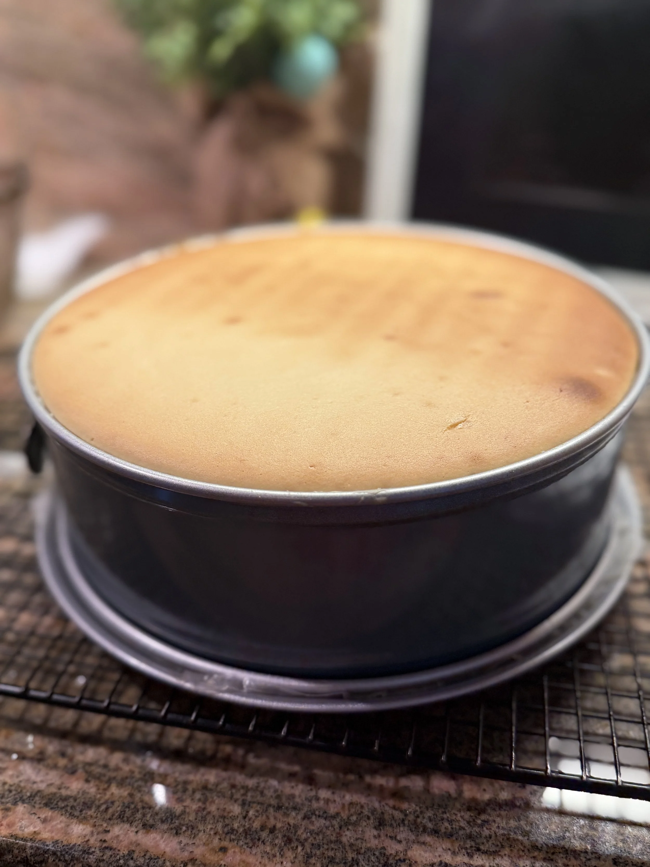 A cheesecake in a foil‑wrapped springform pan baking on the center rack of the oven, with a pan of hot water on the rack below to create gentle steam for an even bake.