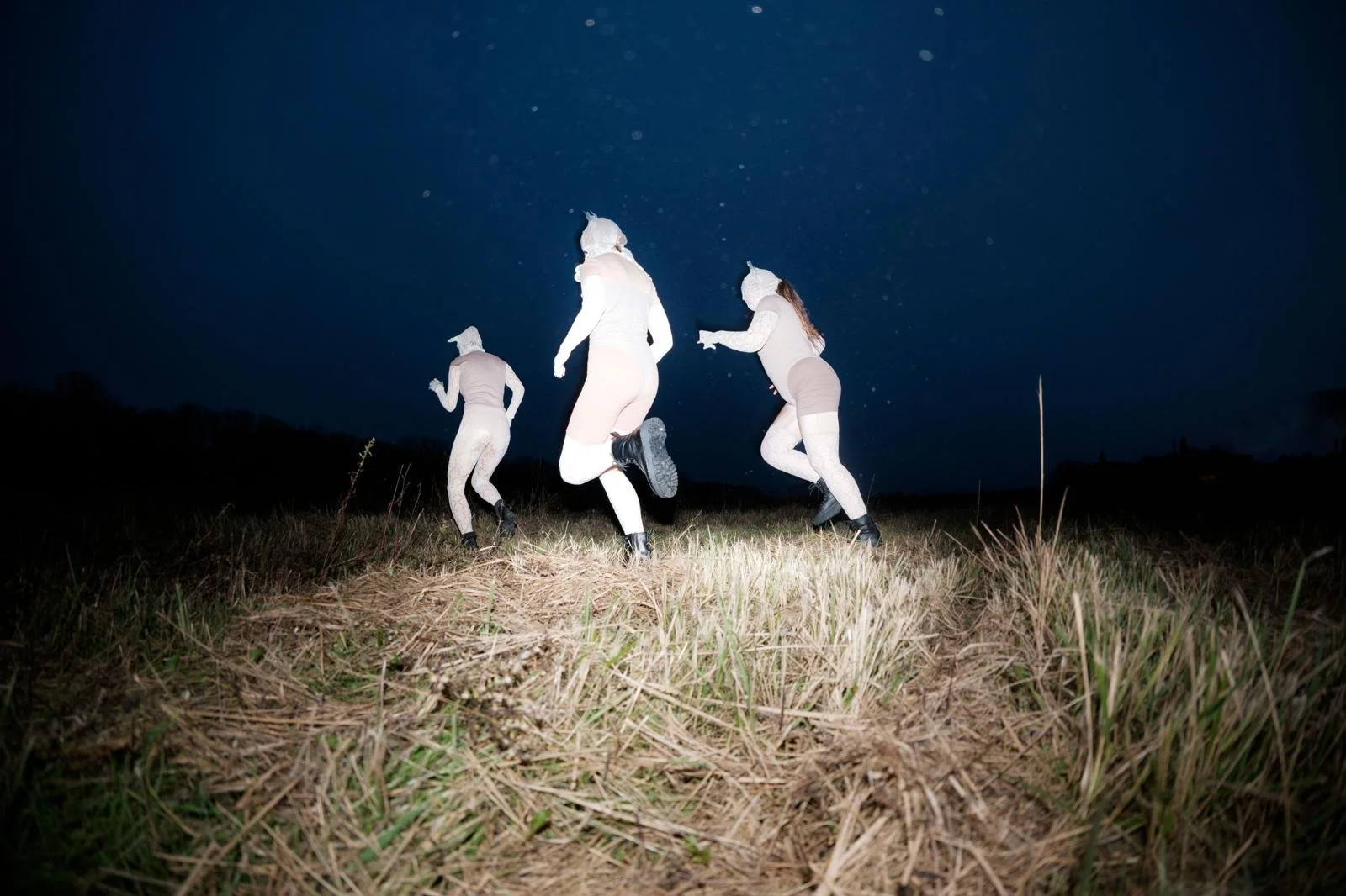Three people in animal costumes running through a grassy field at night