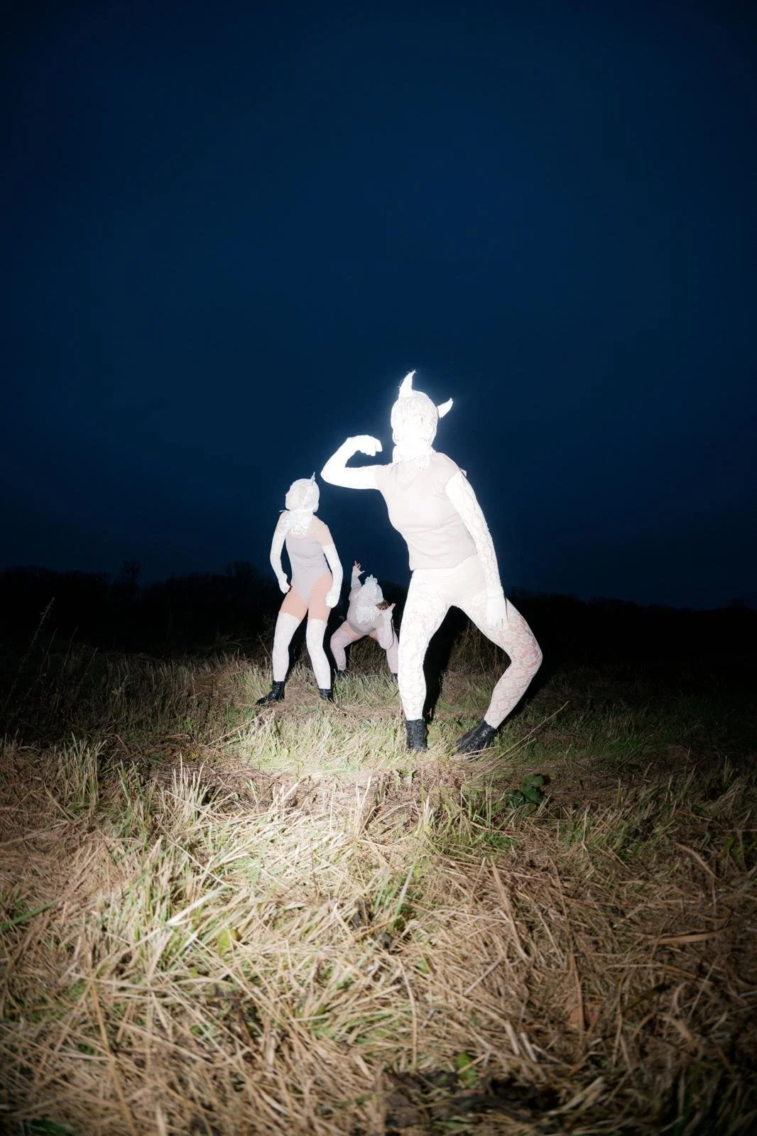 Group of people in costumes resembling unicorns or mythical creatures, standing outdoors at night on a grassy field.