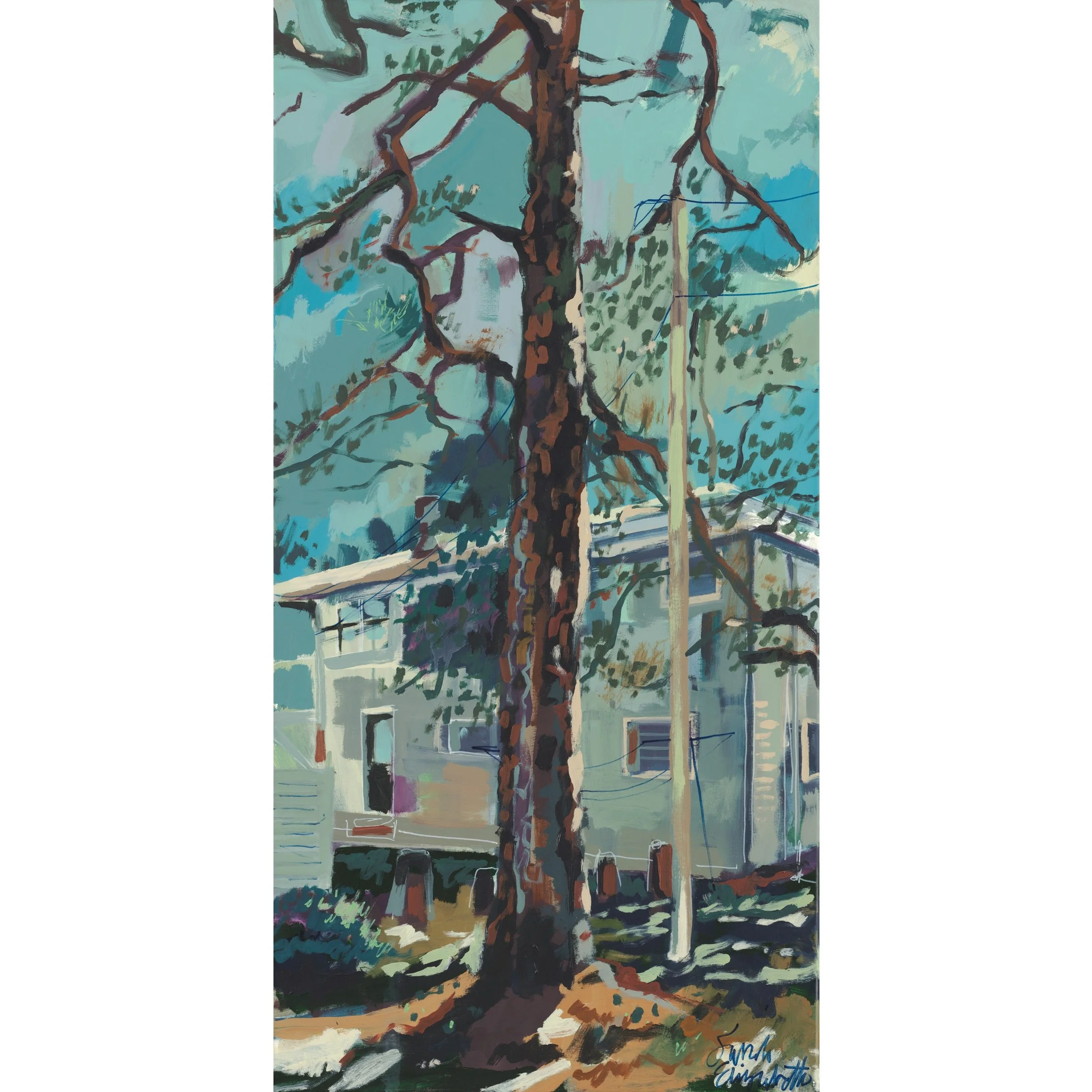 Papa's Pine Tree