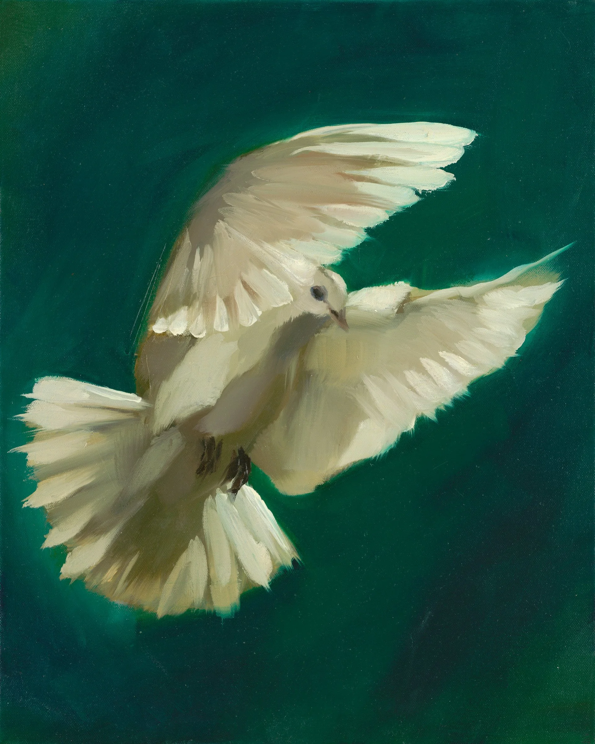 Dove-Green_eq-GS1.jpg