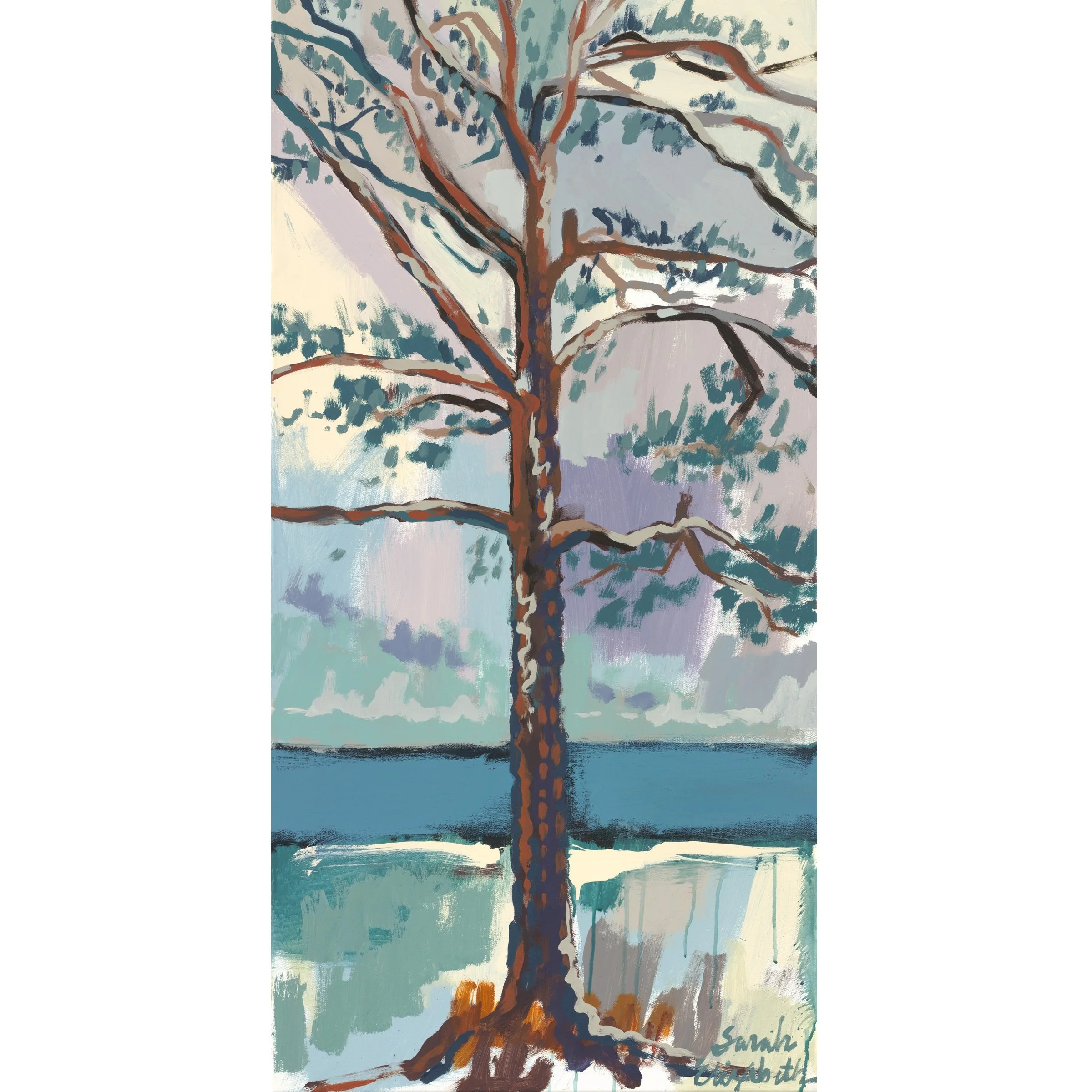 Ocean Pine