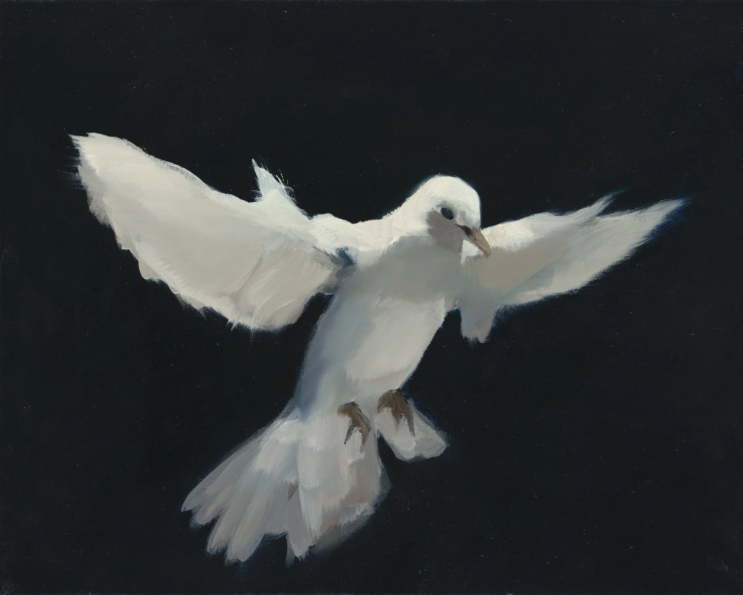 Dove-Black_eq-GS1.jpg