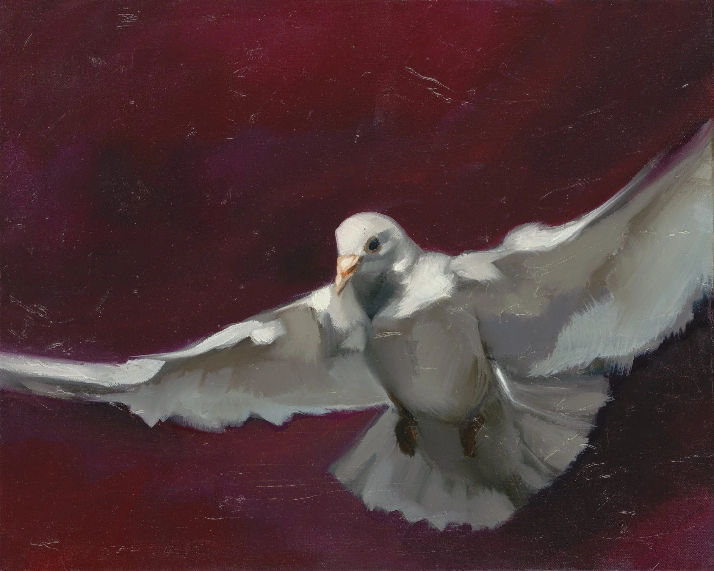 Dove-Burgundy_eq-GS1 no crop.jpg