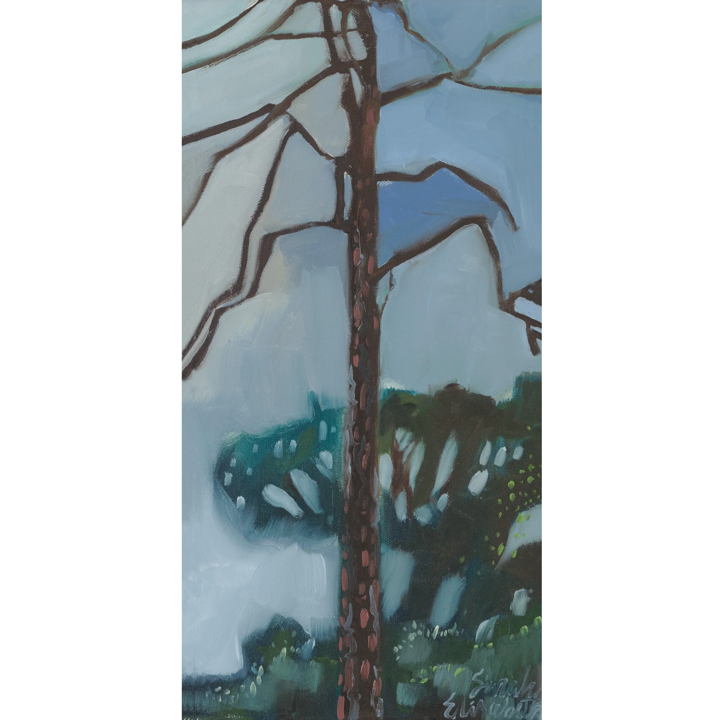 Across the Yard Pine