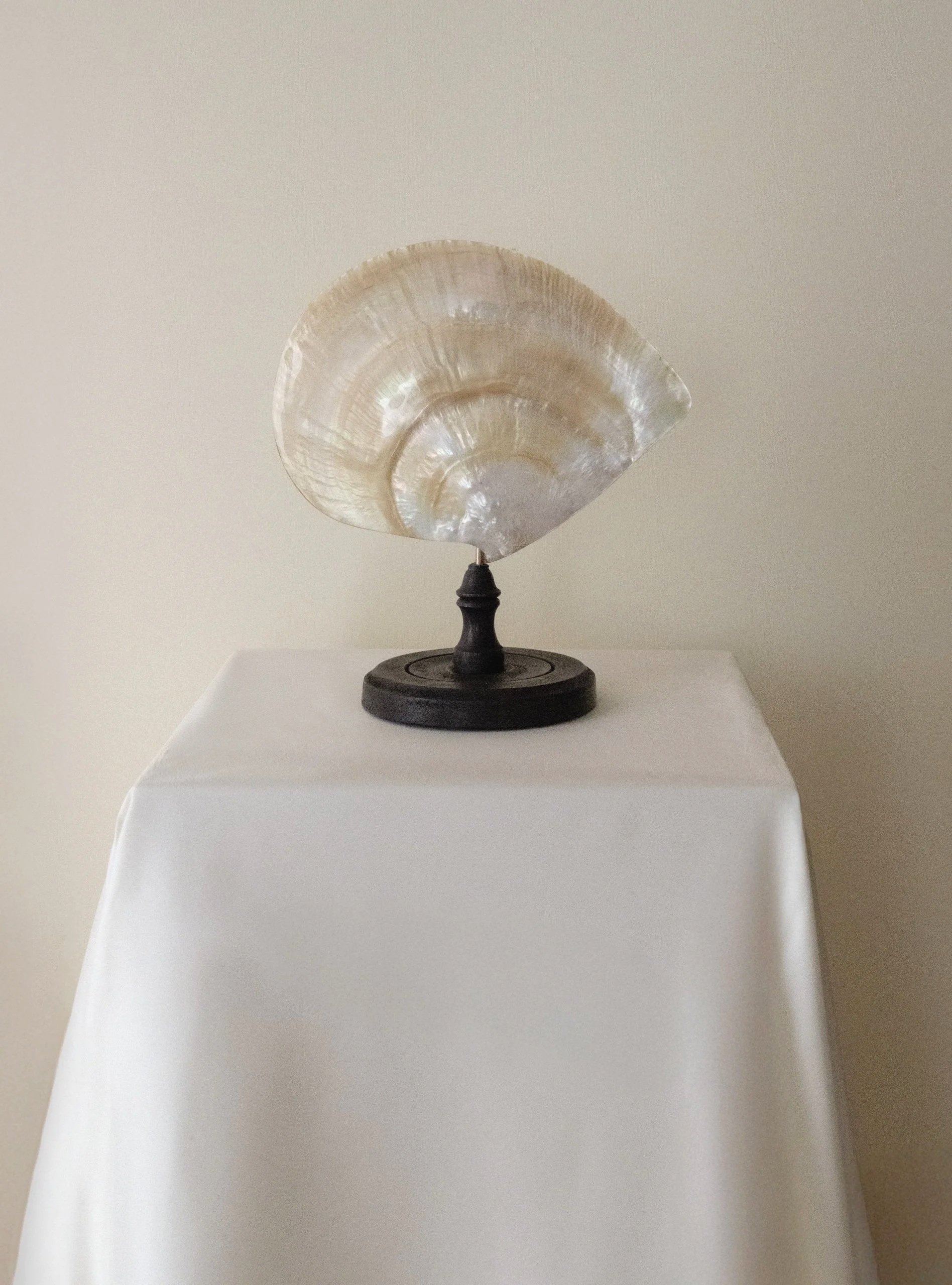 Mother of Pearl Shell Sculpture