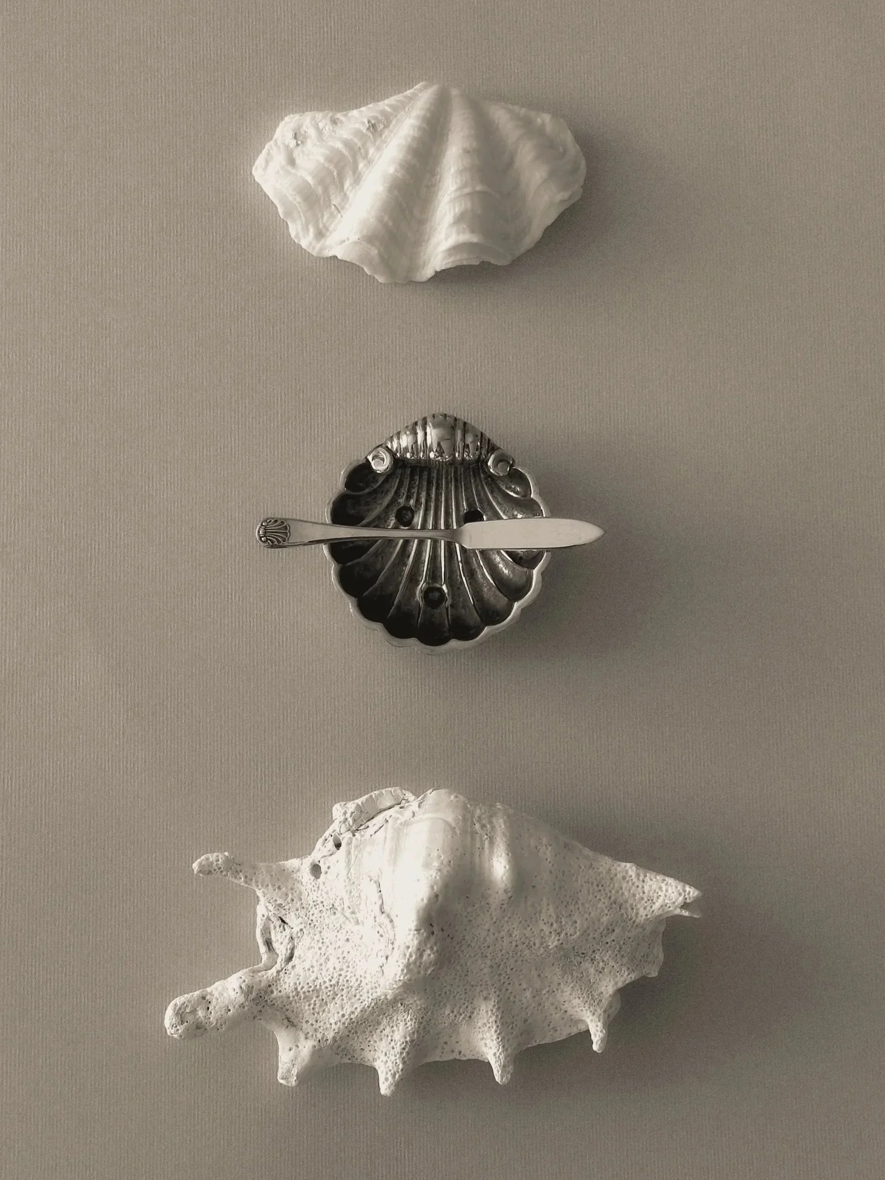 Victorian Shell Butter Dish
