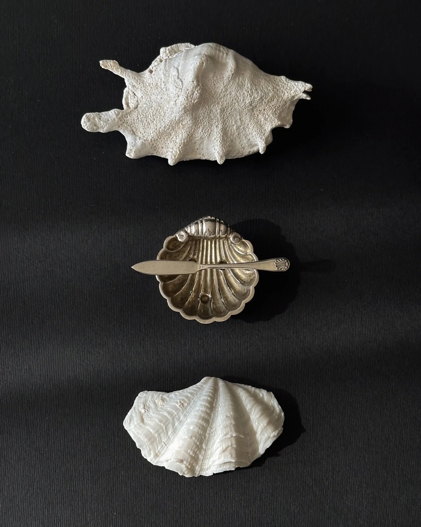 Victorian Shell Butter Dish