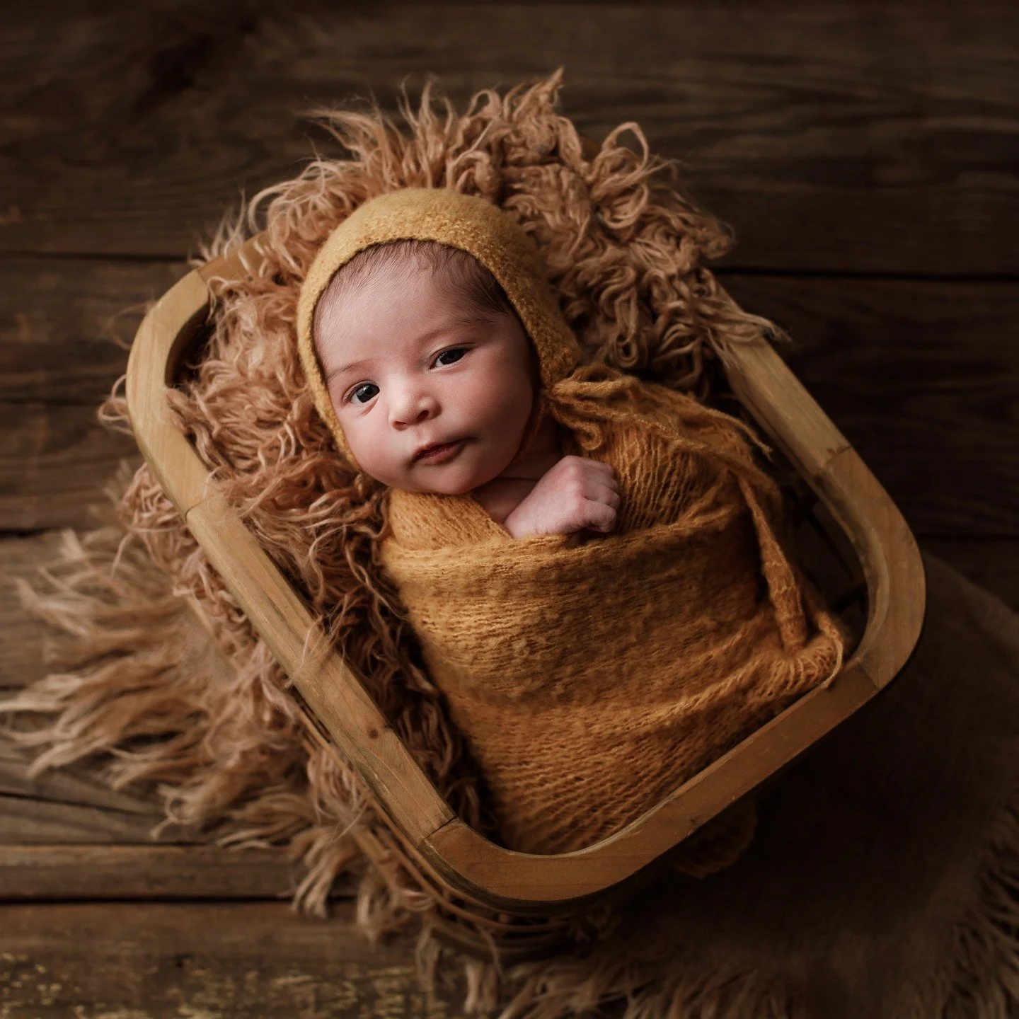Meet Miss Veronica!!! 12 days new on her session date!!!
#jennifernorrickphotography #newborn #newbornphotographer #RapidCitynewbornphotographer #SouthDakotanewbornphotographer #BlackHillsnewbornphotographer #photographer #RapidCityphotographer #Sout
