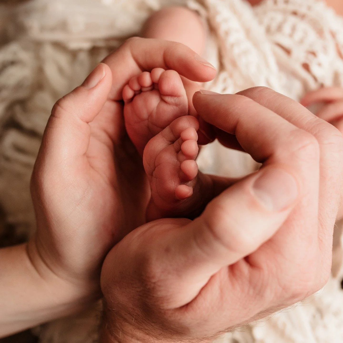 #jennifernorrickphotography #newborn #newbornphotographer #RapidCitynewbornphotographer #SouthDakotanewbornphotographer #BlackHillsnewbornphotographer #photographer #RapidCityphotographer #SouthDakotaphotographer #BlackHillsphotographer #brandnewlitt