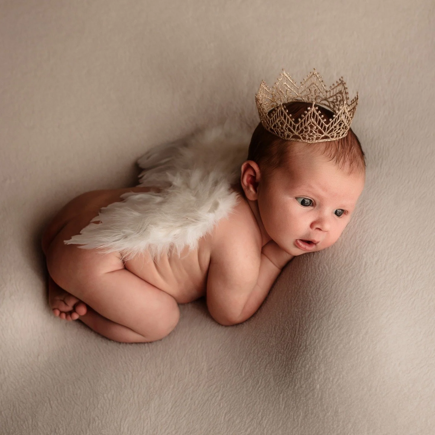 #jennifernorrickphotography #newborn #newbornphotographer #RapidCitynewbornphotographer #SouthDakotanewbornphotographer #BlackHillsnewbornphotographer #photographer #RapidCityphotographer #SouthDakotaphotographer #BlackHillsphotographer #brandnewlitt