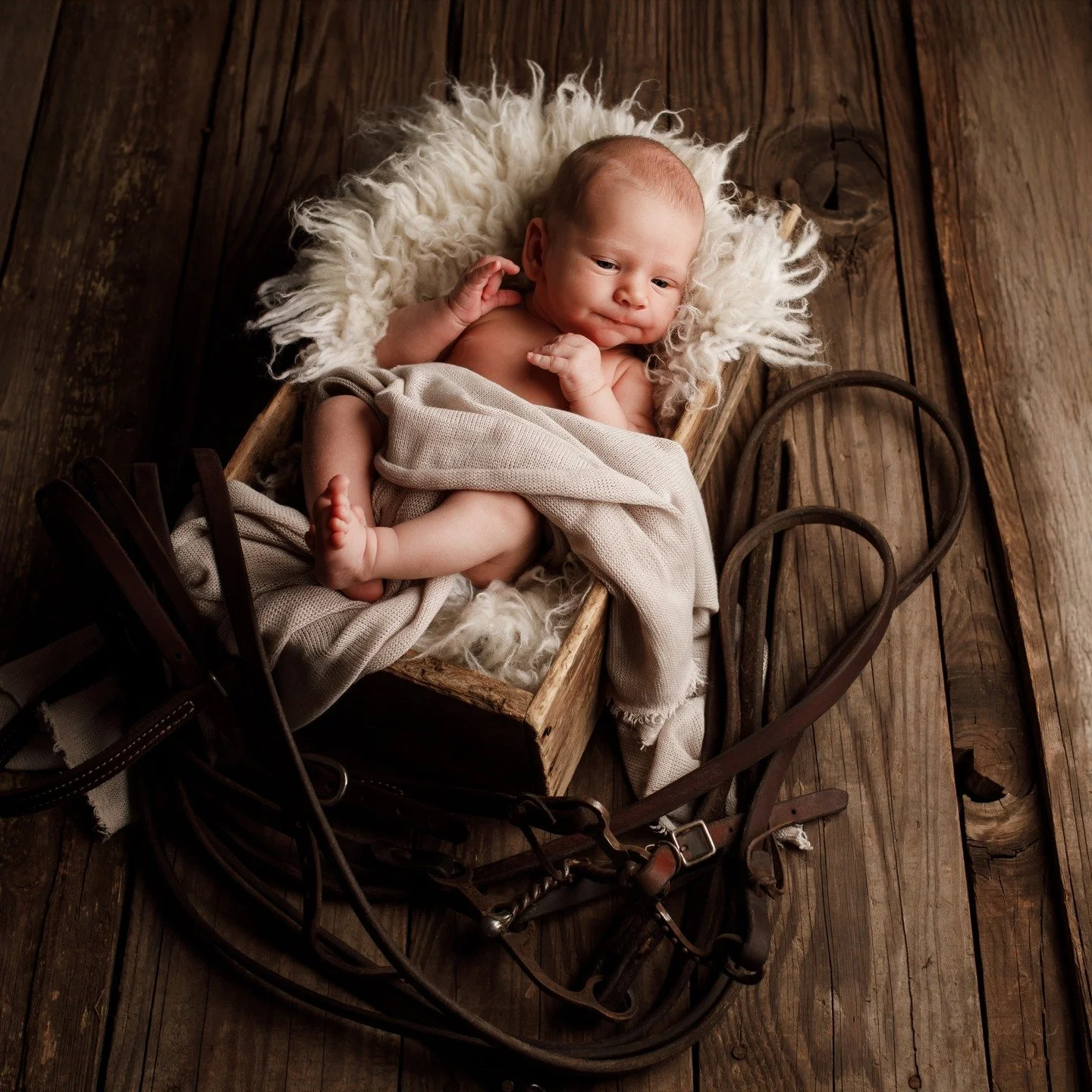 #jennifernorrickphotography #newborn #newbornphotographer #RapidCitynewbornphotographer #SouthDakotanewbornphotographer #BlackHillsnewbornphotographer #photographer #RapidCityphotographer #SouthDakotaphotographer #BlackHillsphotographer #brandnewlitt