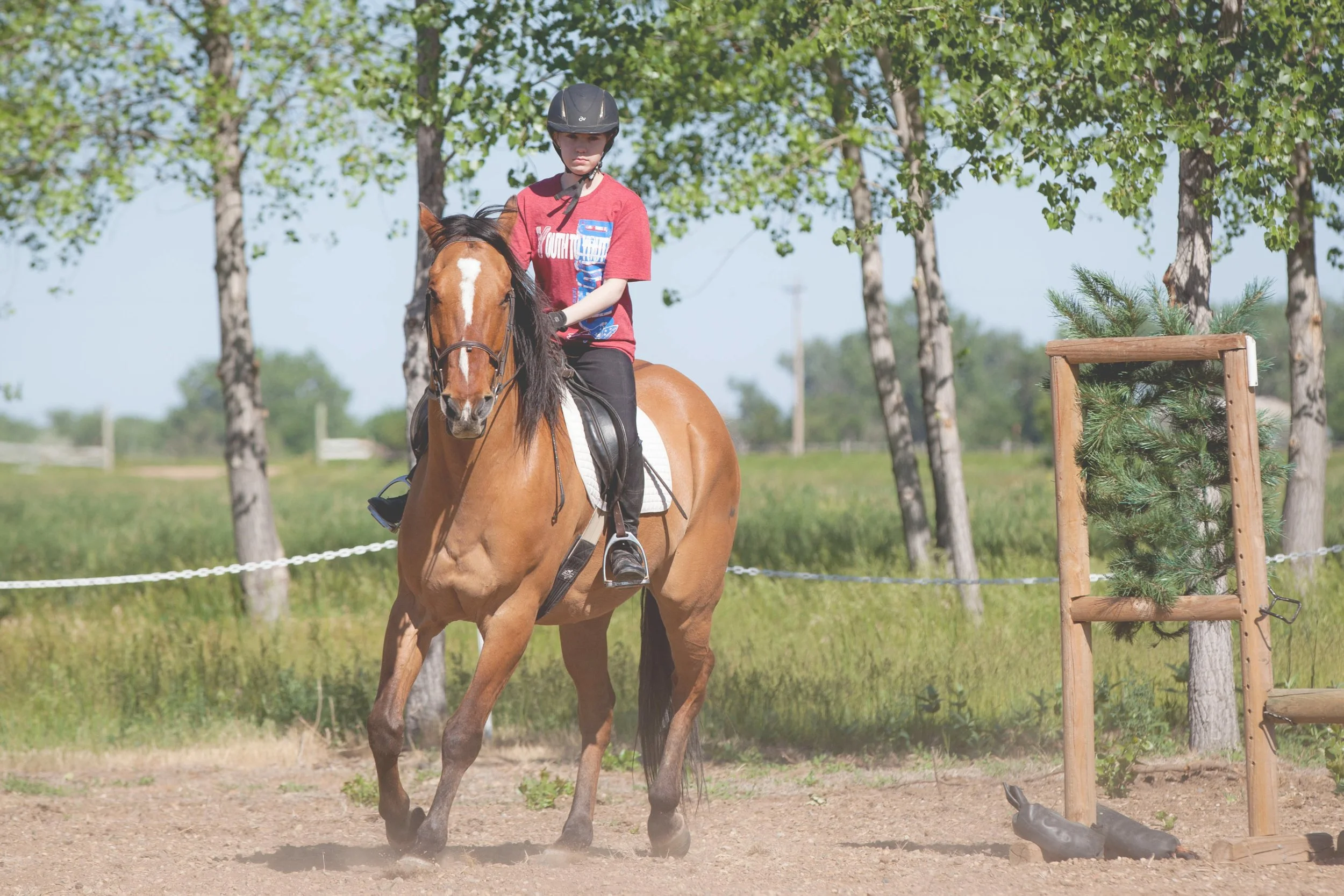 A young person riding a brown horse outdoors during daytime, surrounded by trees, with a wooden obstacle and a small tree in the background.