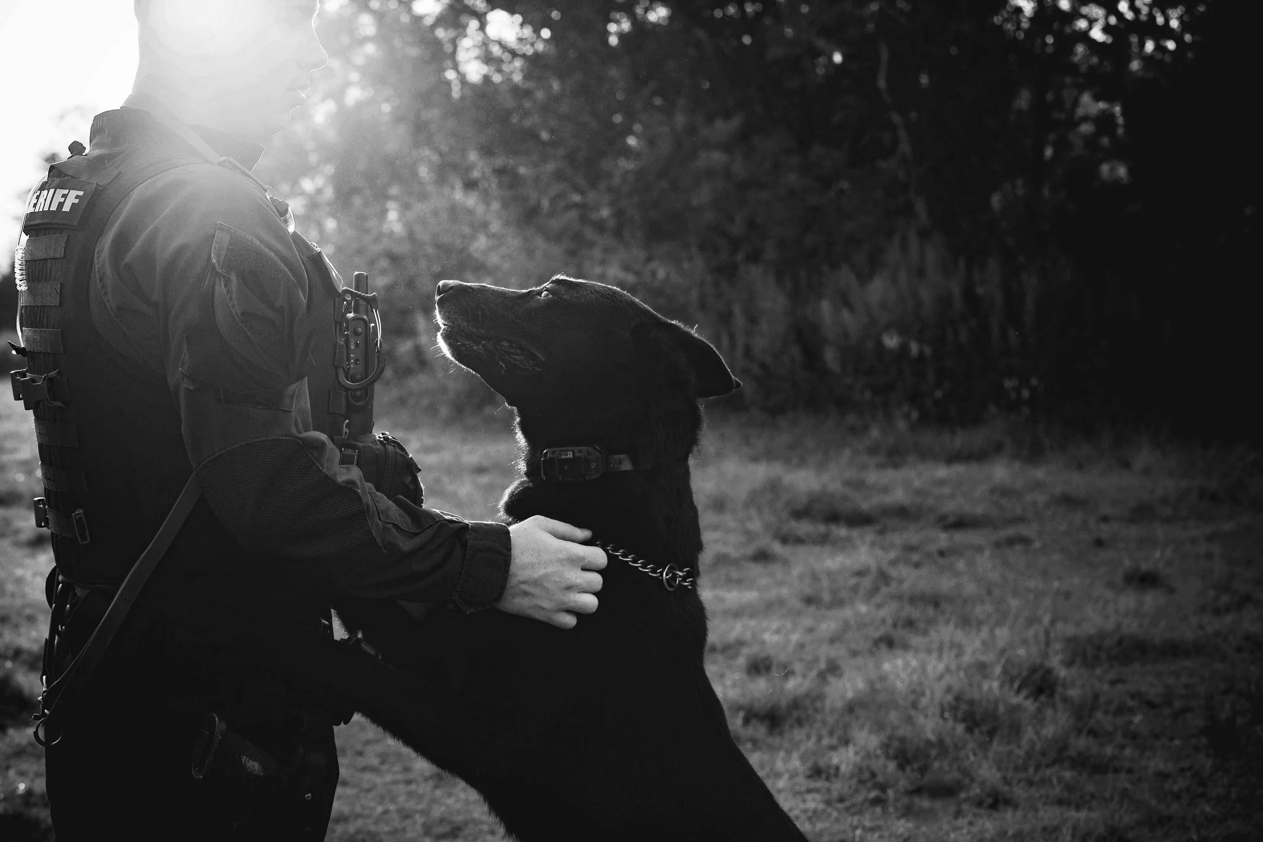 A sheriff in uniform holding a police dog on a leash outdoors during sunset or sunrise.