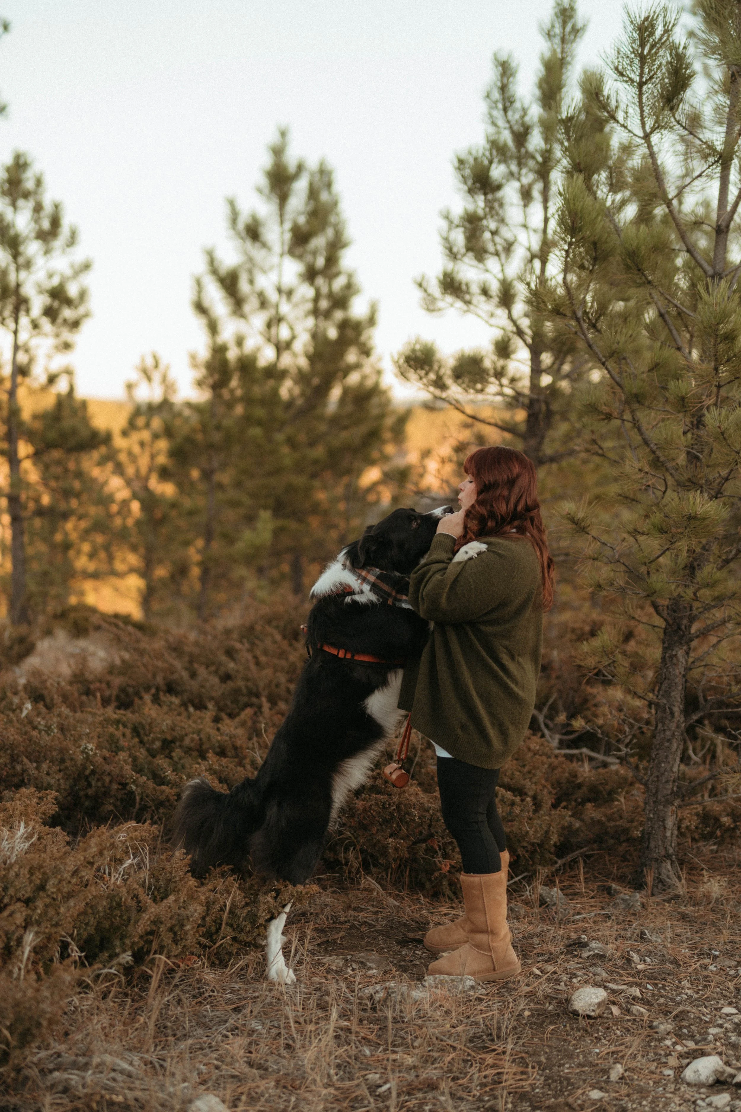 A woman with long red hair standing outdoors in a forest, affectionately kissing her large black and white dog that is standing on its hind legs. The scene is set during sunset with trees and shrubs around.