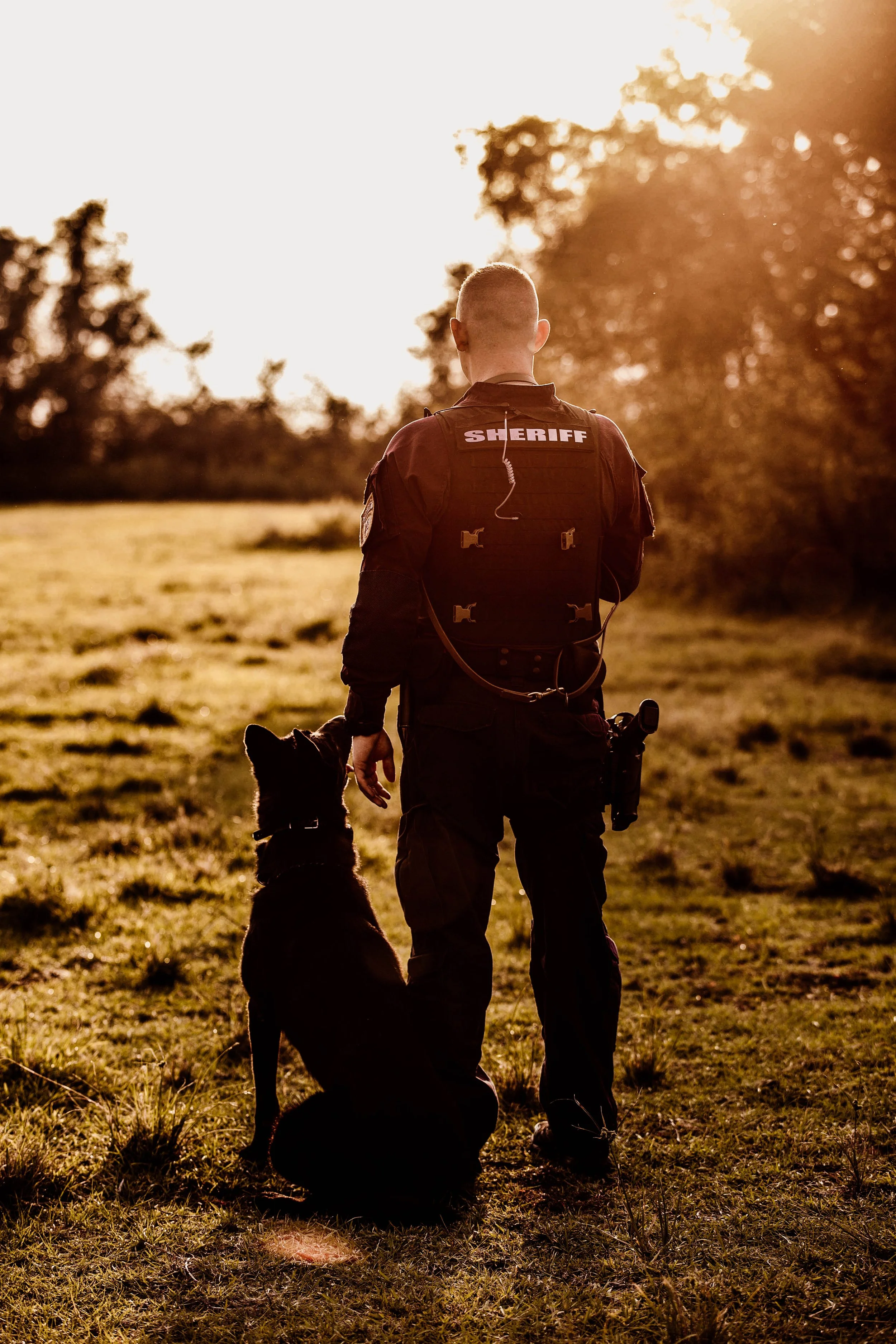 A sheriff in uniform stands with a police dog outdoors during sunset.