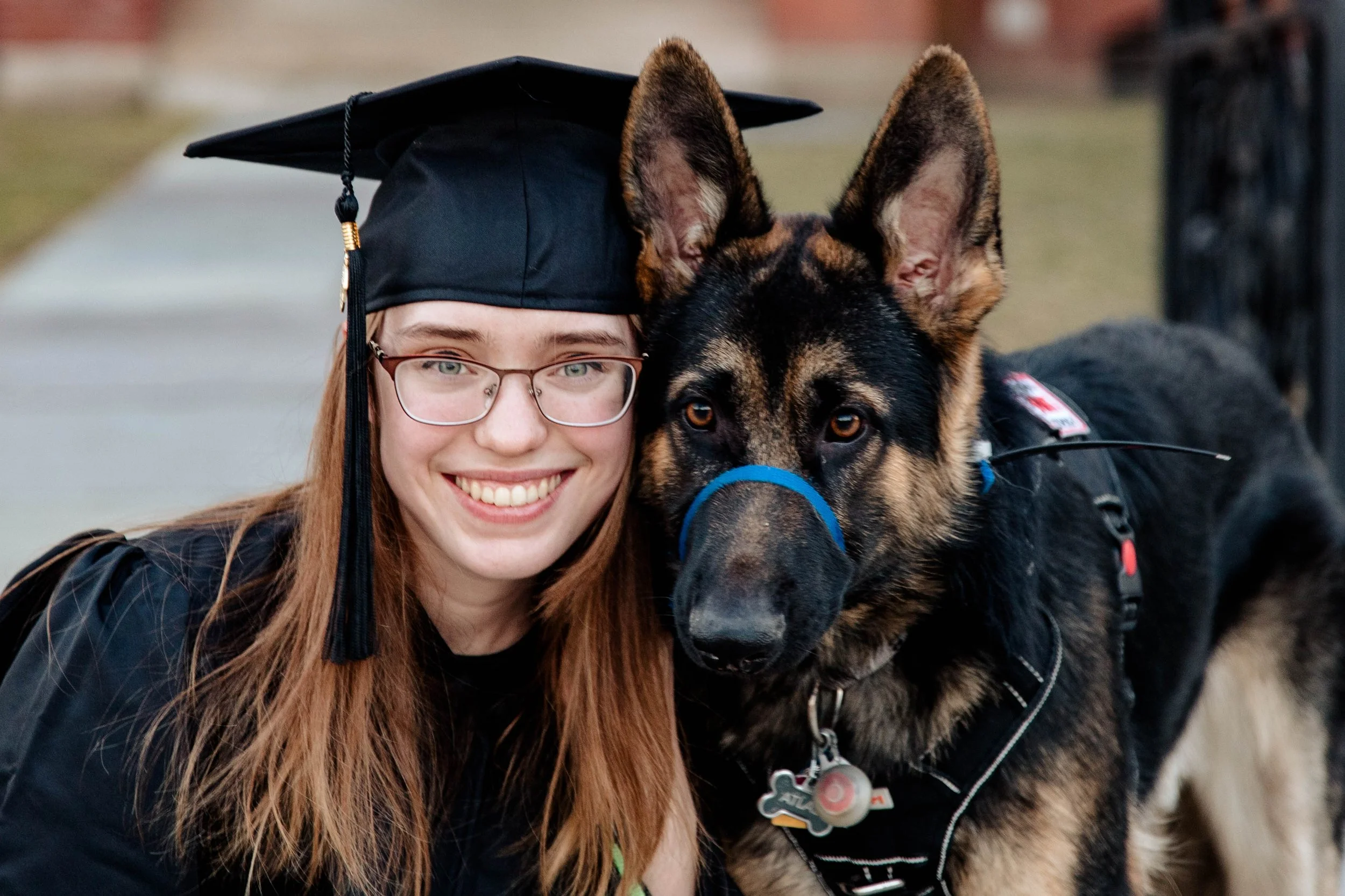 A young woman in graduation cap and gown smiling next to a large German Shepherd dog wearing a harness and blue head collar.