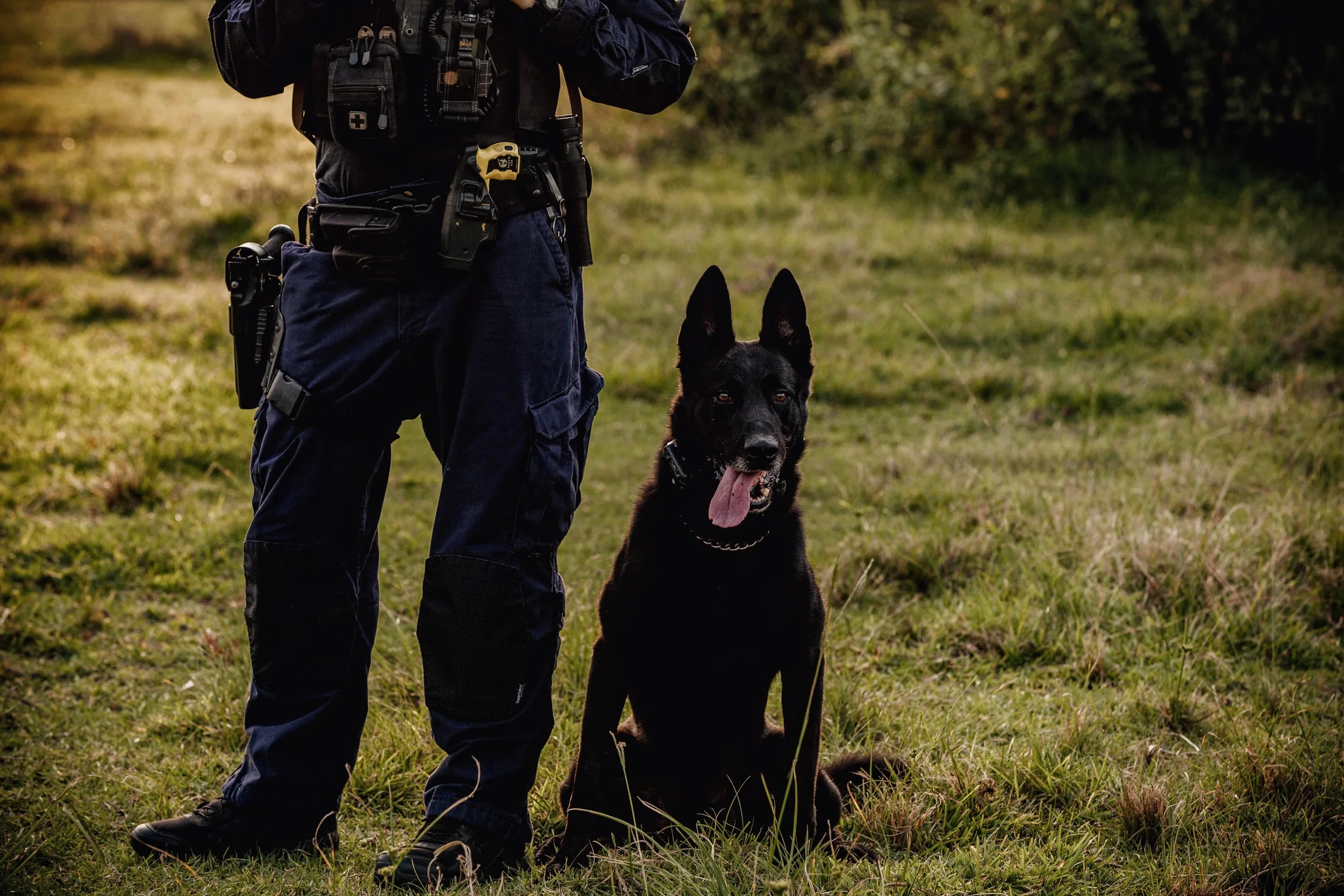 A police officer and a black police dog sitting on grass in an outdoor setting.