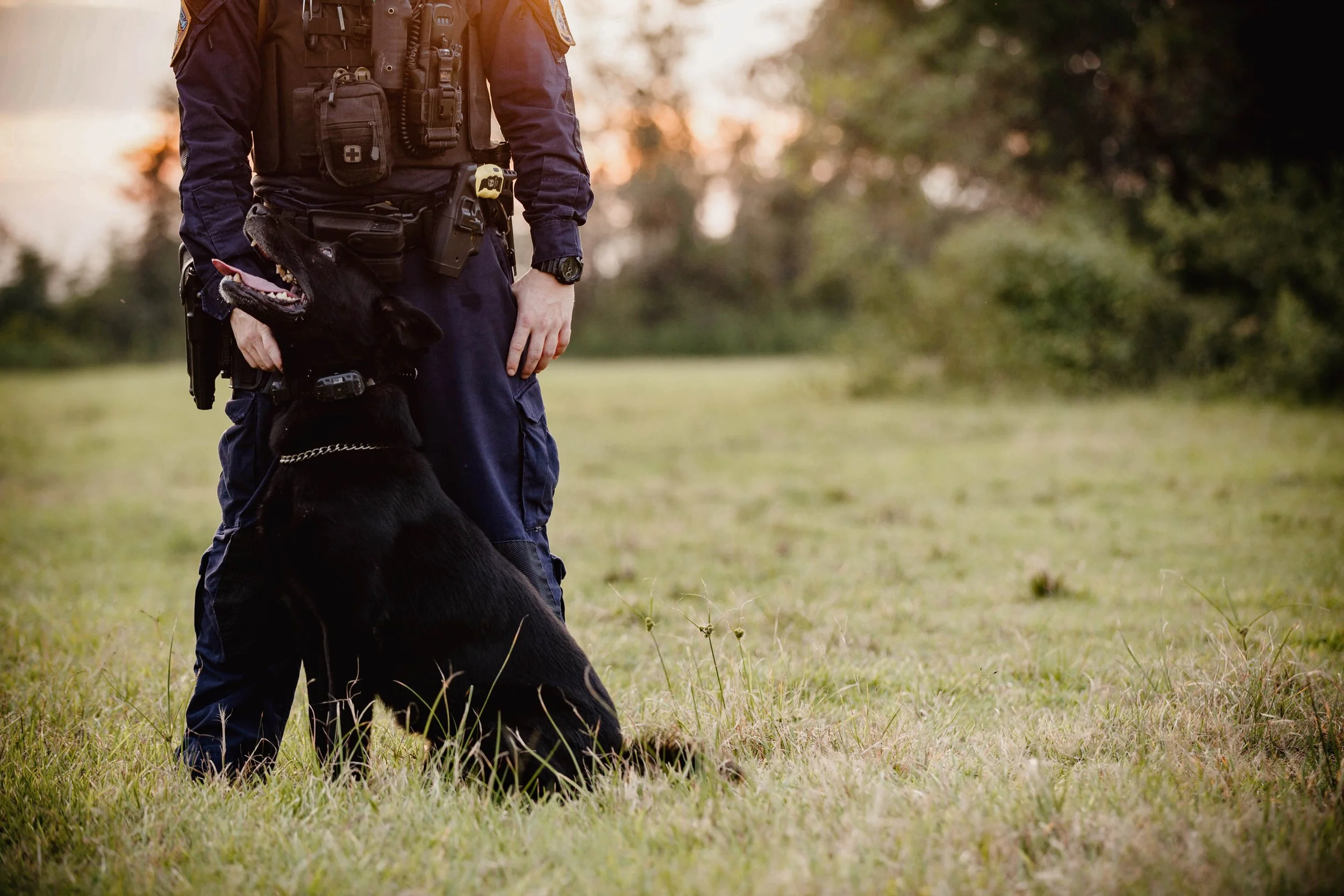 A police officer standing on grass with a police dog sitting and looking up at the officer, burning sunset in the background, lush trees, and outdoor setting.