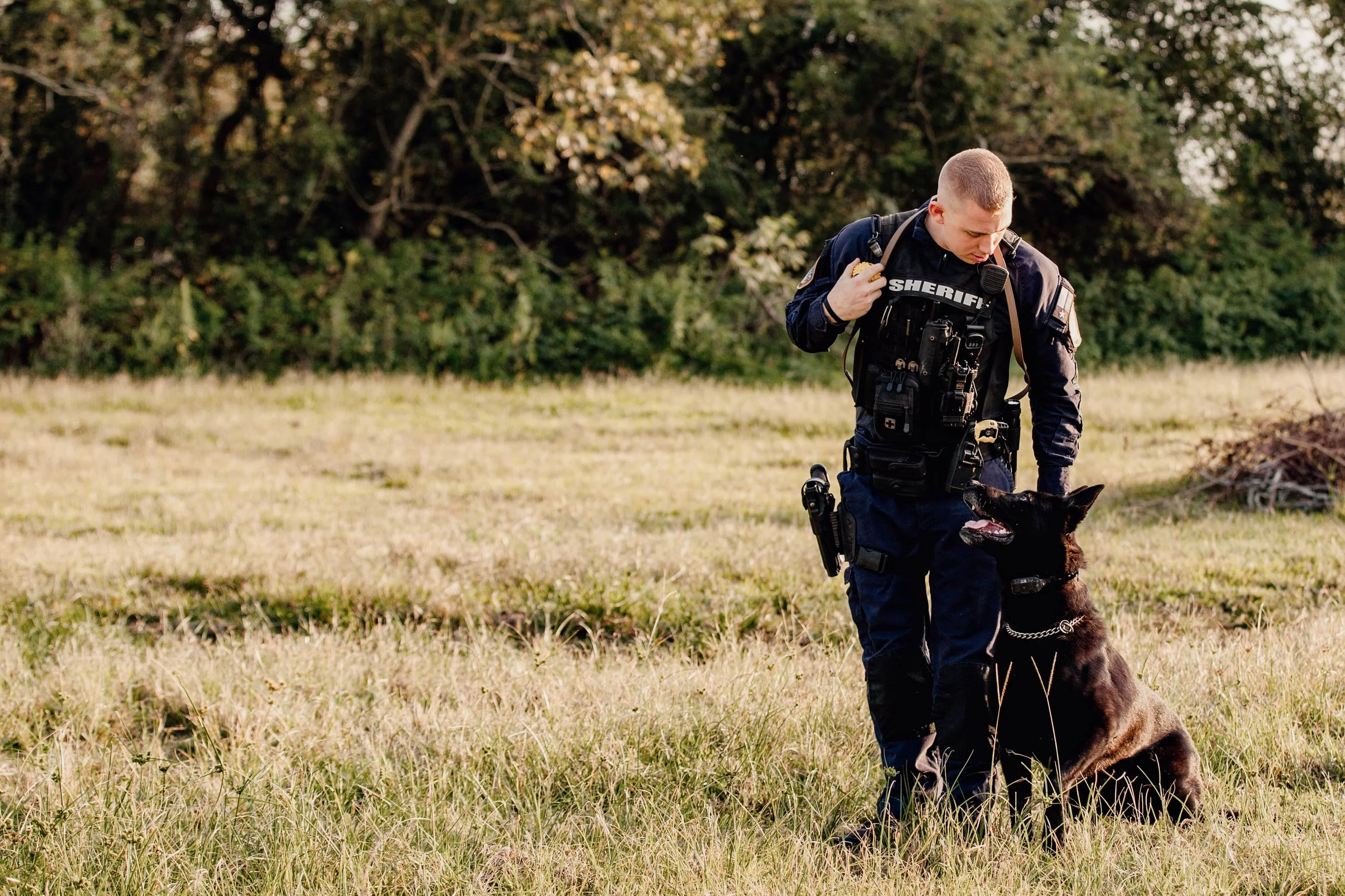 A sheriff officer in a uniform with a K9 police dog in an open grassy field with trees in the background.