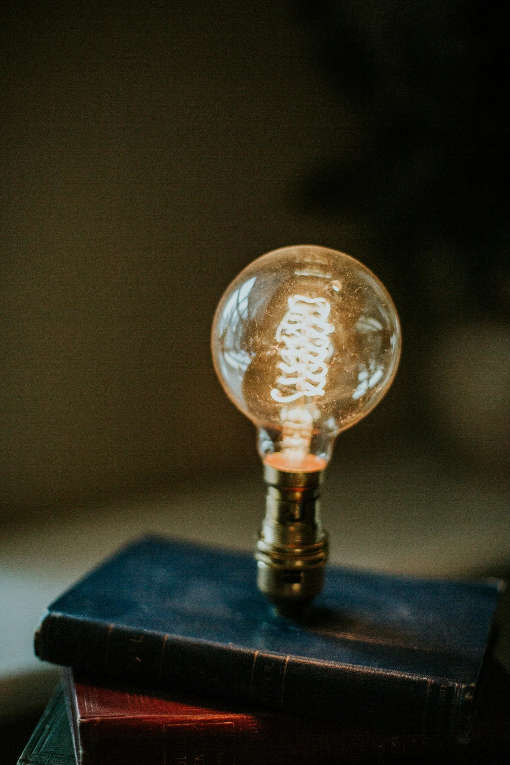 A vintage-style Edison light bulb with visible filament, placed on top of a closed book, in a dimly lit setting.