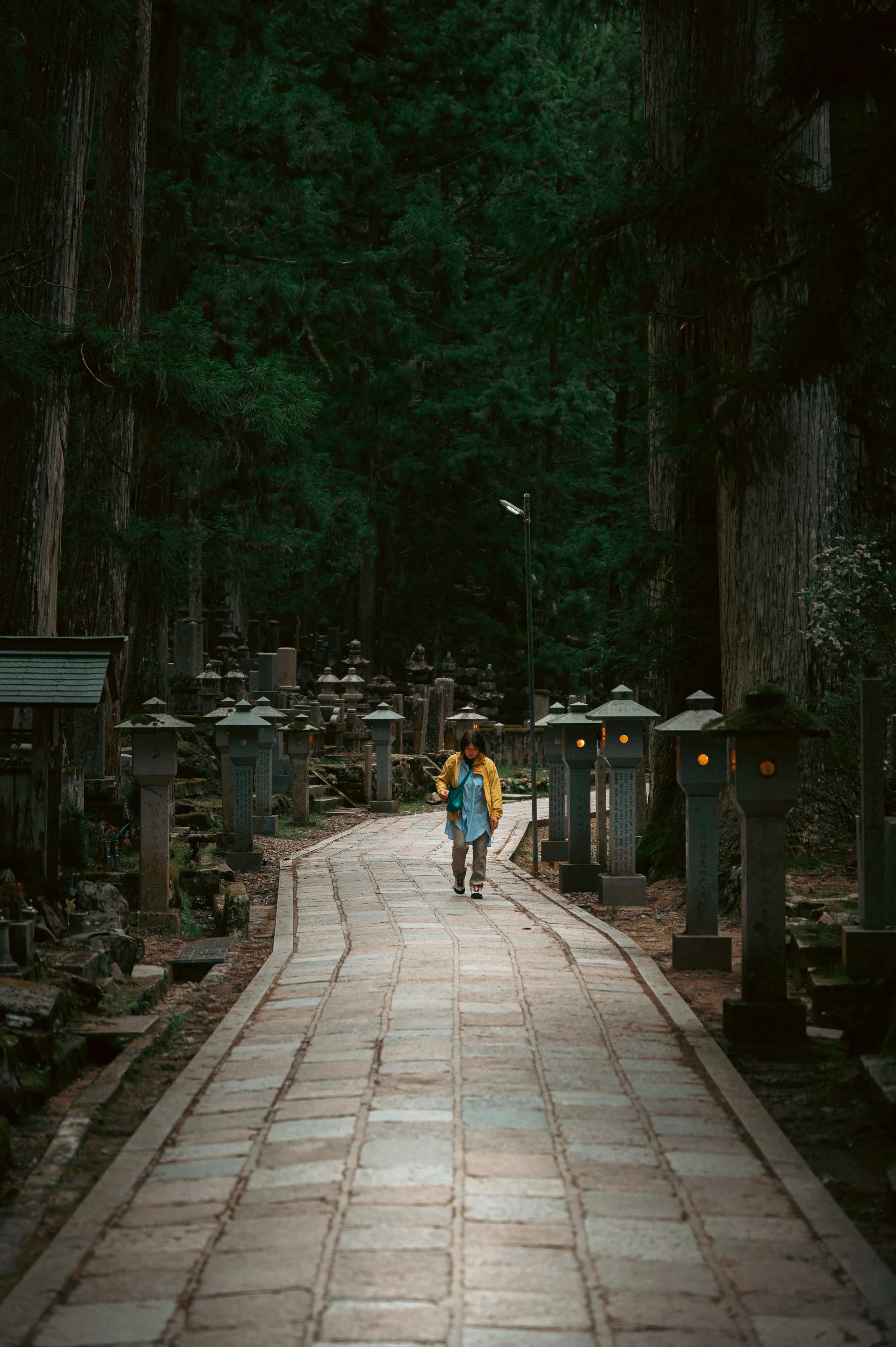 Streets of Japan - pt2-8.jpg