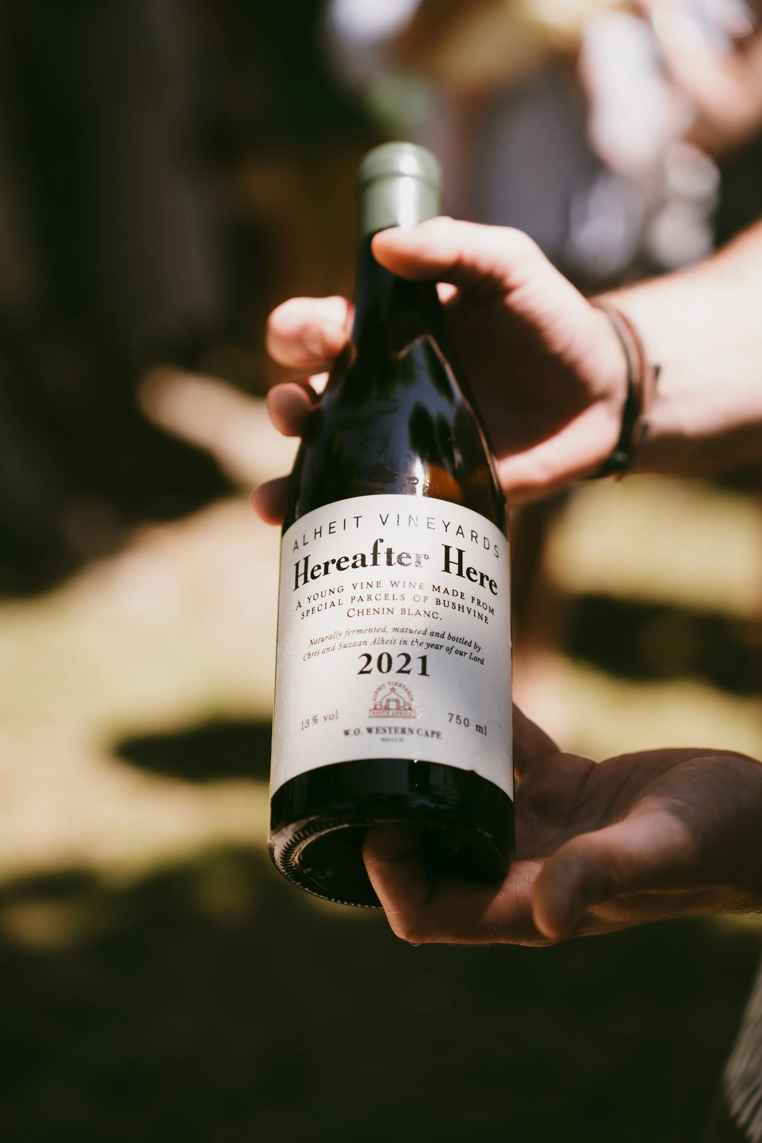 A hand holding a bottle of 2021 wine from Alheit Vineyards, with a blurred outdoor background.