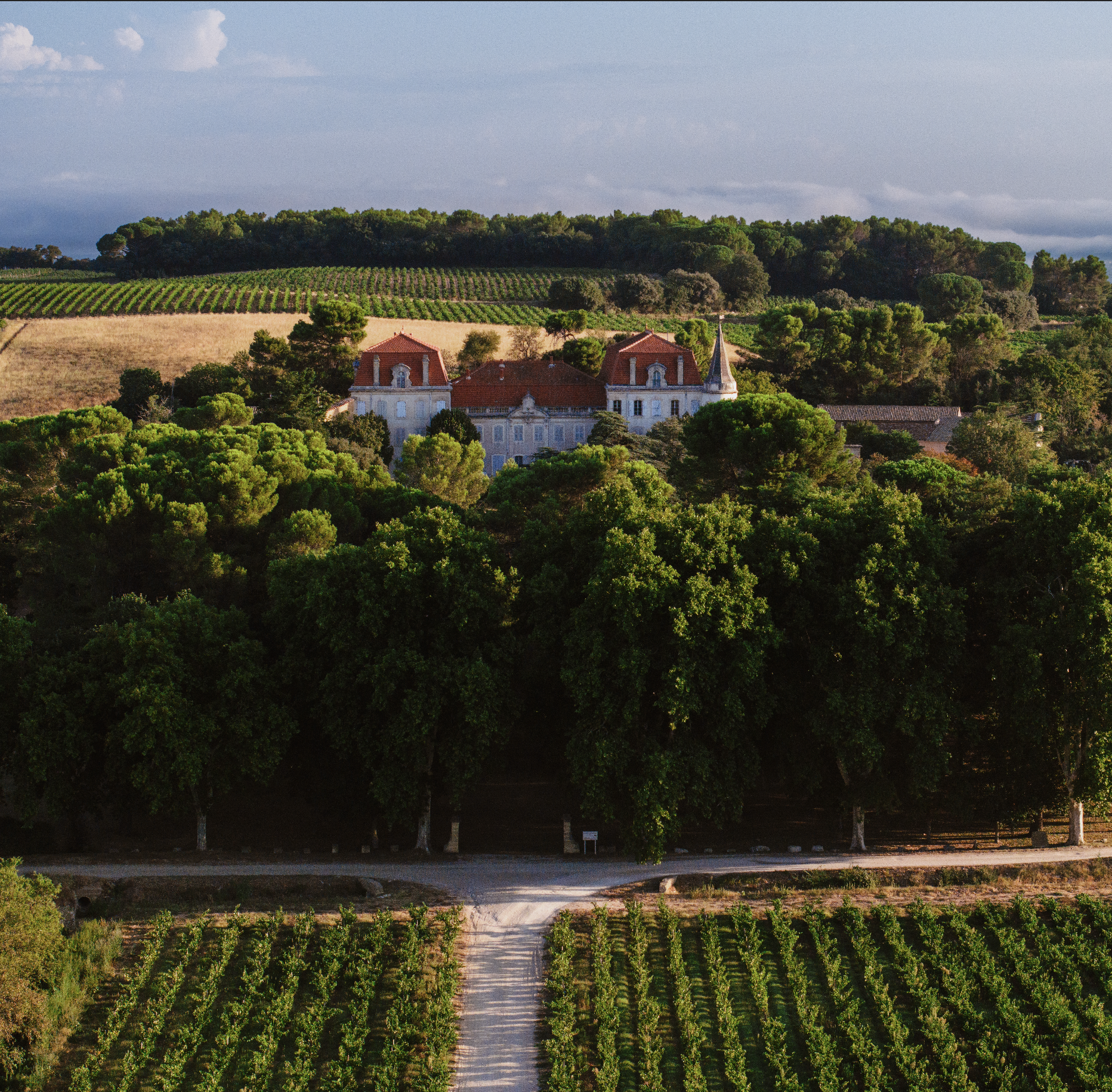 A lush vineyard with rows of grapevines in the foreground, a gravel road leading into a dense grove of trees, and a large historic mansion with red roofs and a steeple in the background, set in a scenic, rolling countryside.