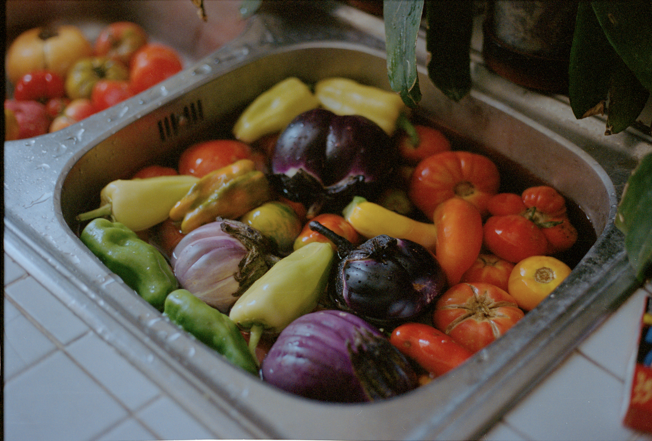 Various fresh vegetables, including eggplants, peppers, and tomatoes, soaking in a stainless steel sink.