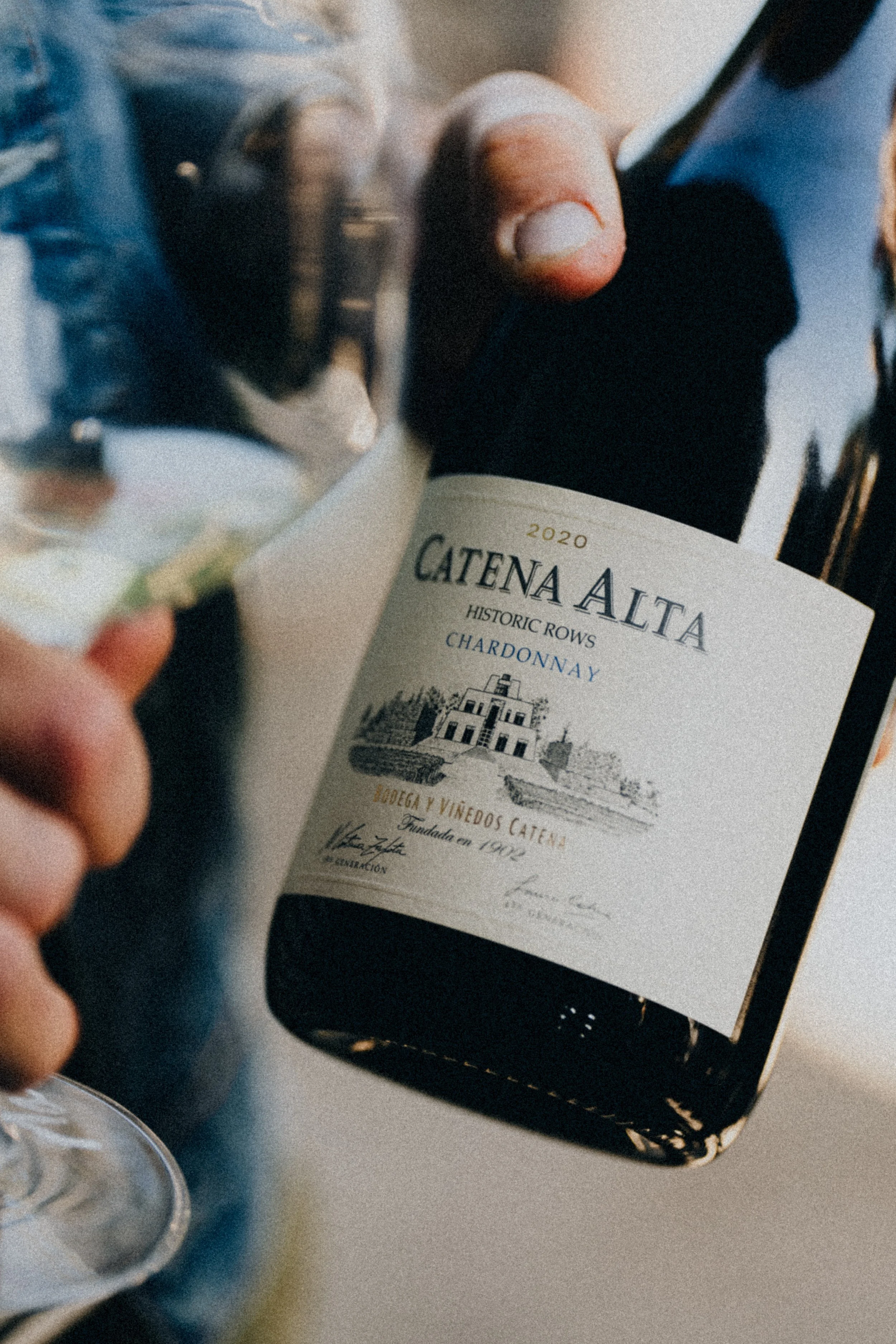 Close-up of a person holding a wine bottle labeled 'Catena Alta 2020 Chardonnay' in a wine glass with blurred background.