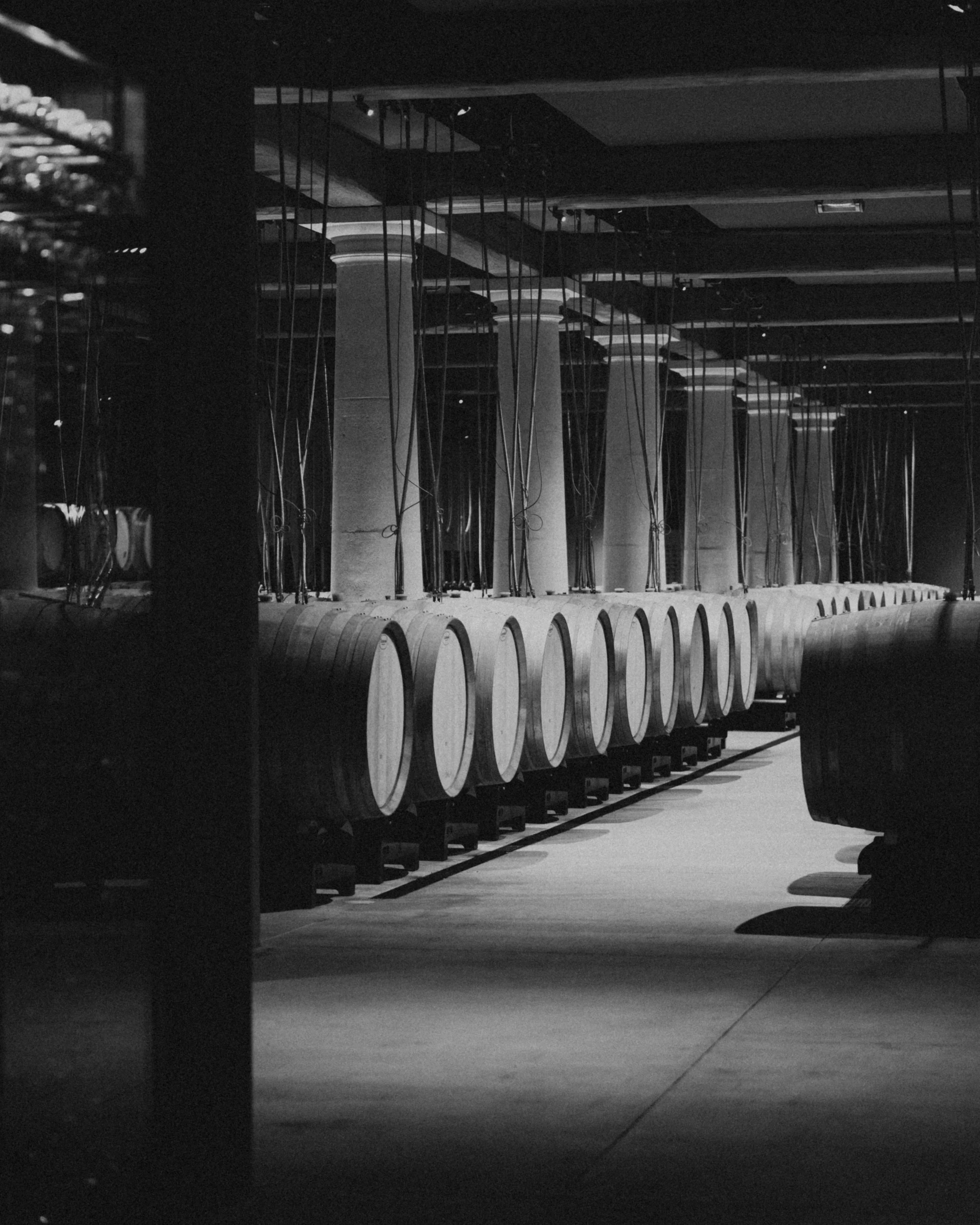 Row of wine barrels in a dark cellar with overhead beams and pipes.