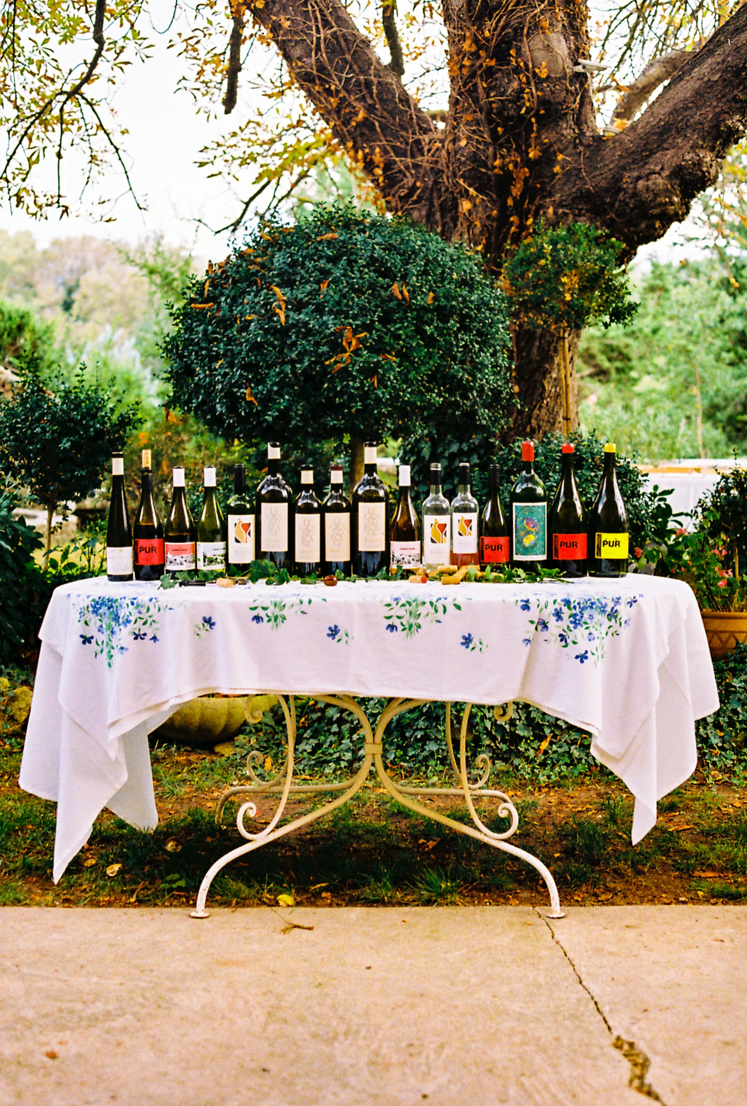 A table outdoors under a tree, decorated with a white tablecloth with blue floral design, displaying various bottles of wine, with a background of trees and greenery.
