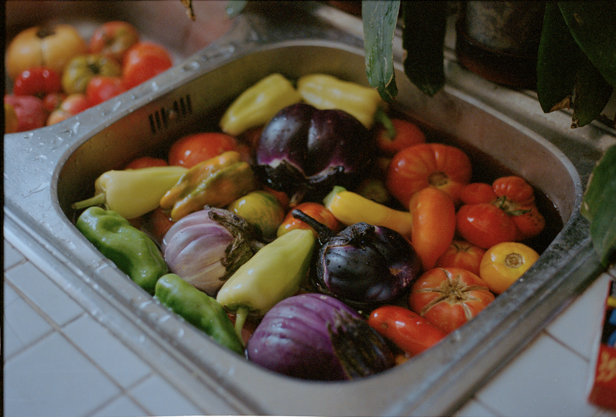 A kitchen sink filled with various fresh vegetables, including eggplants, peppers, tomatoes, garlic, and onions.