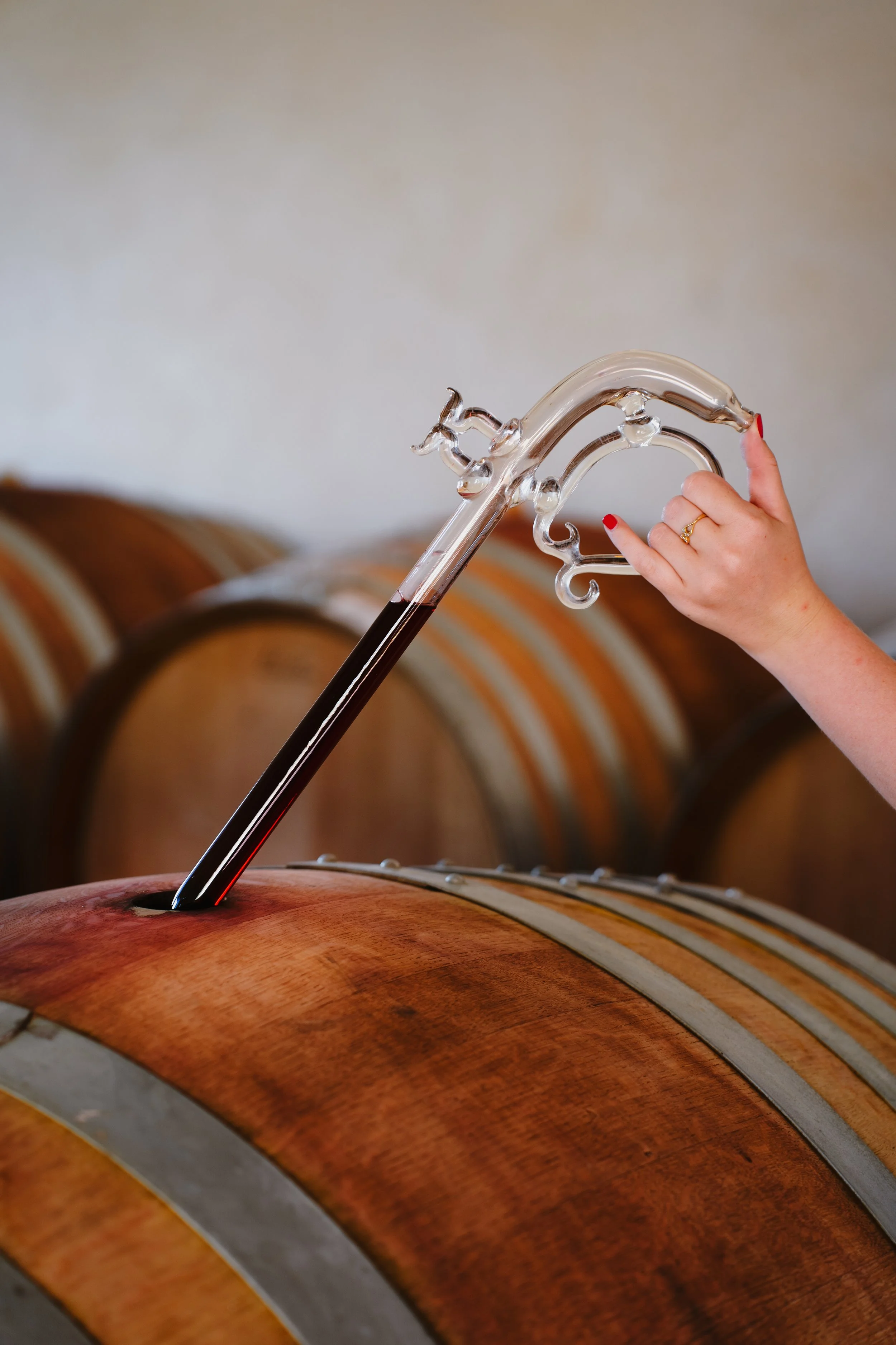 Person's hand drawing wine from a wooden barrel using a glass wine thief in a vineyard or winery setting.