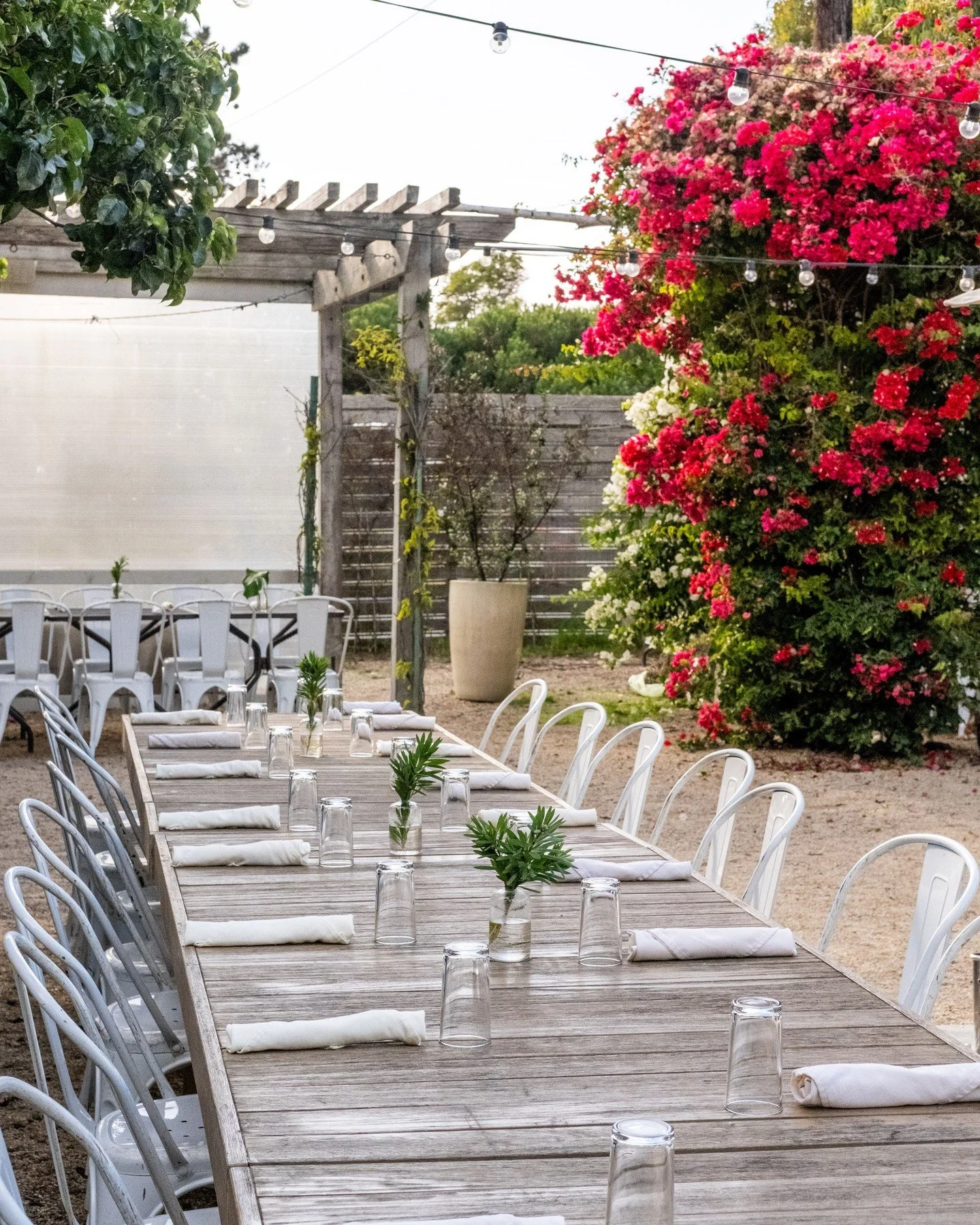A reception table in the garden at Aracely Cafe on Treasure Island.