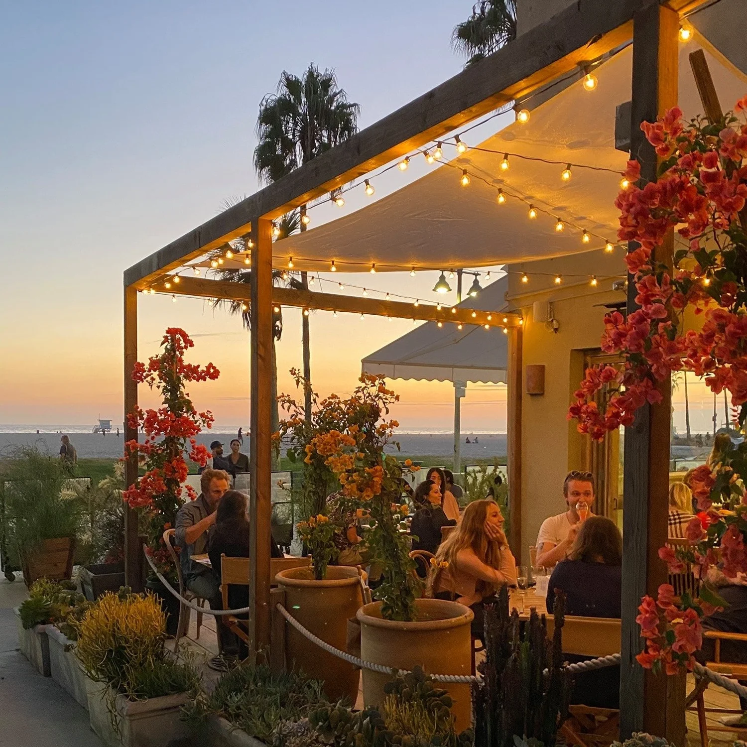 An outdoor private event at Fig Tree, Venice Beach, California, with warm lighting