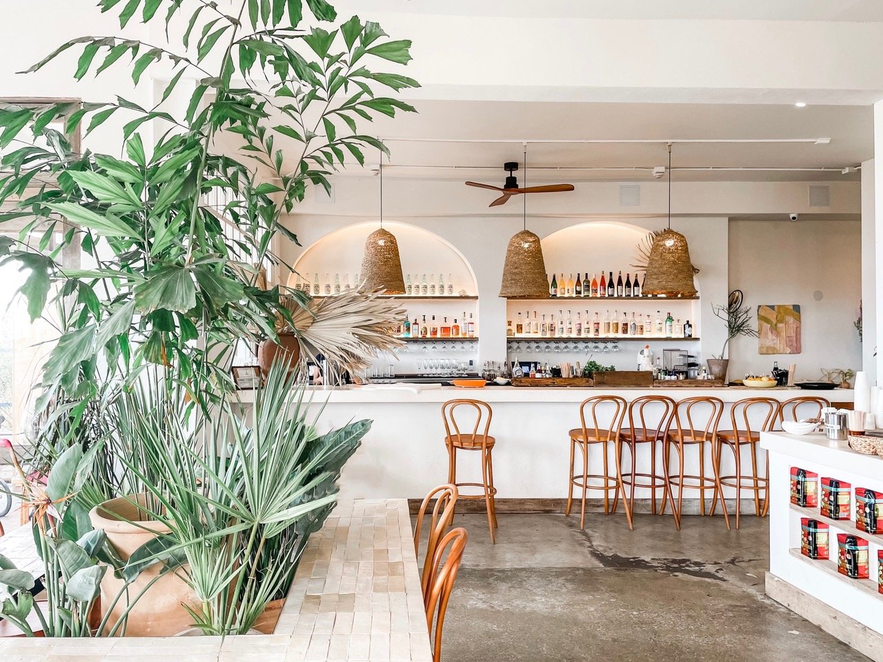 Fig Tree Venice beachfront patio dining