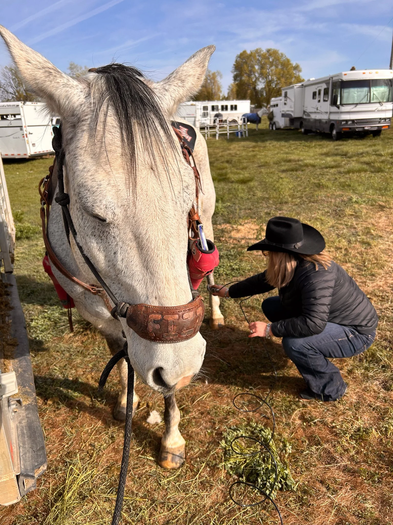 IMG_9770-preview.jpg